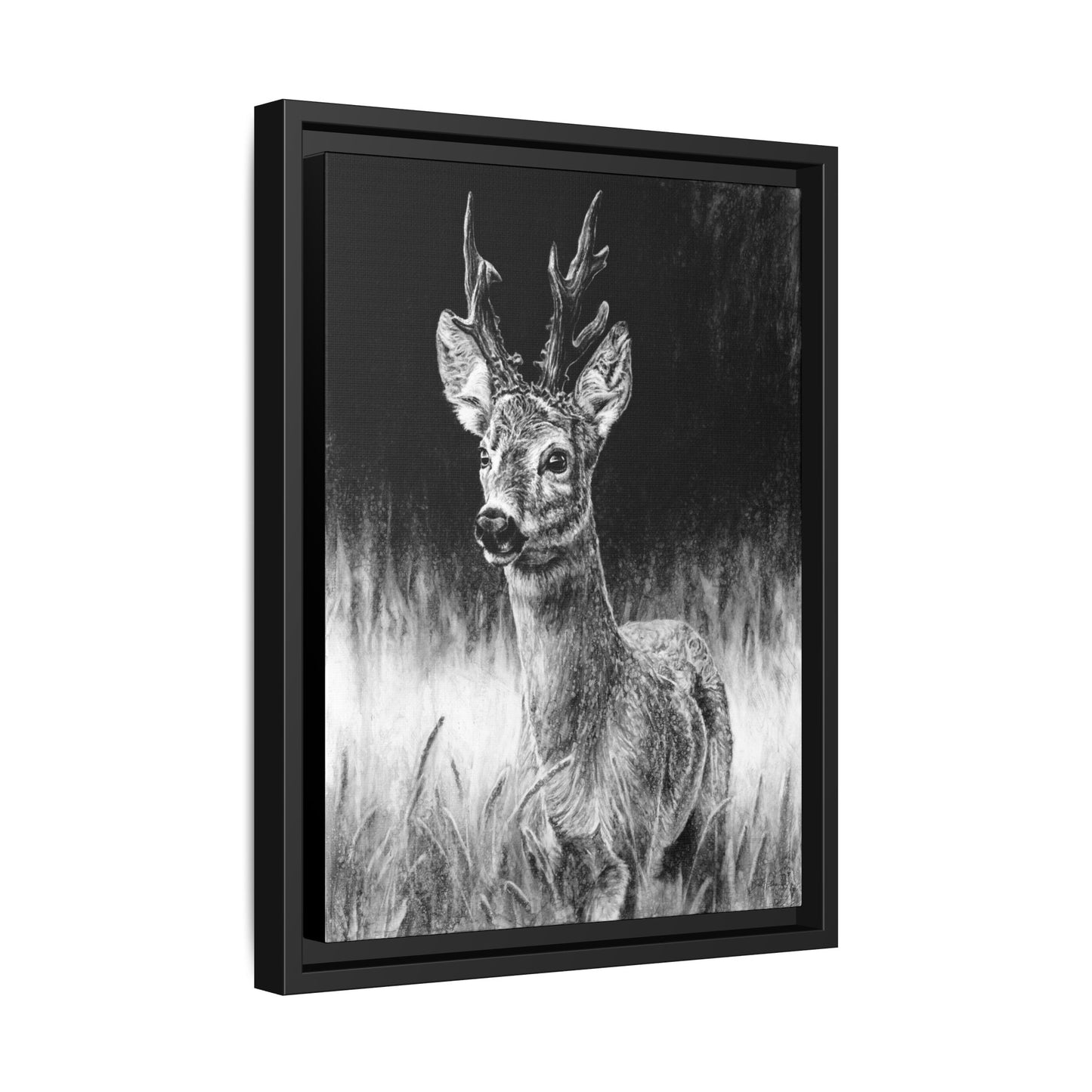 "Roe Deer" Framed Canvas