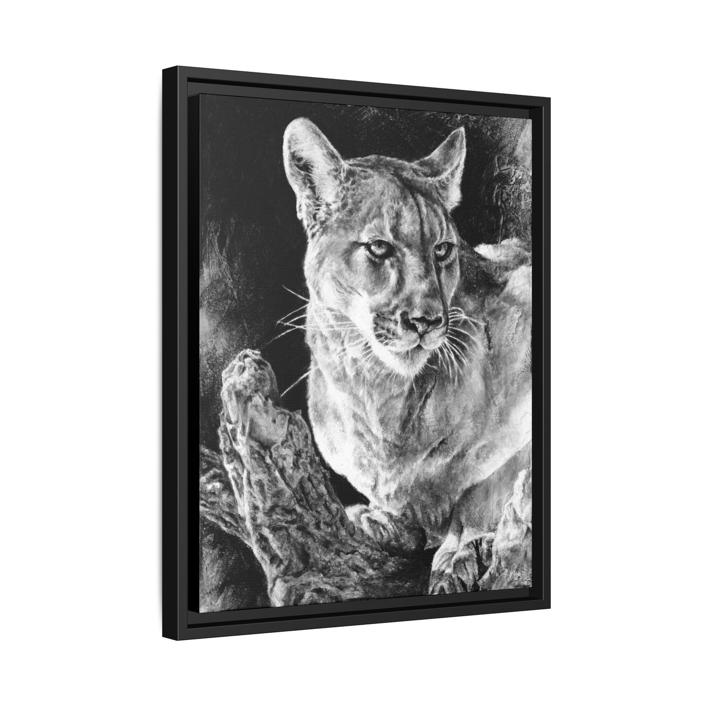 "Mountain Lion" Framed Canvas