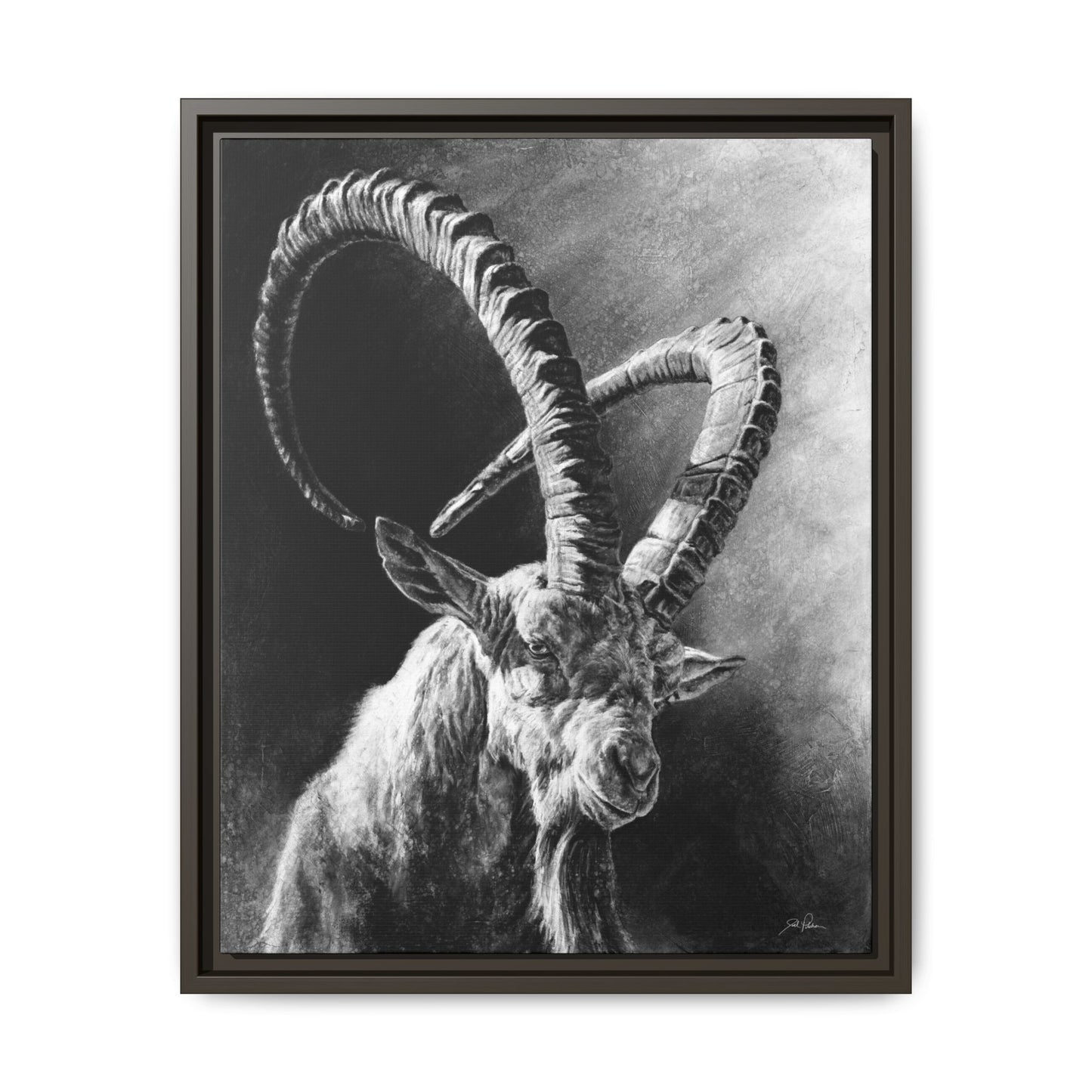 "Ibex" Framed Canvas