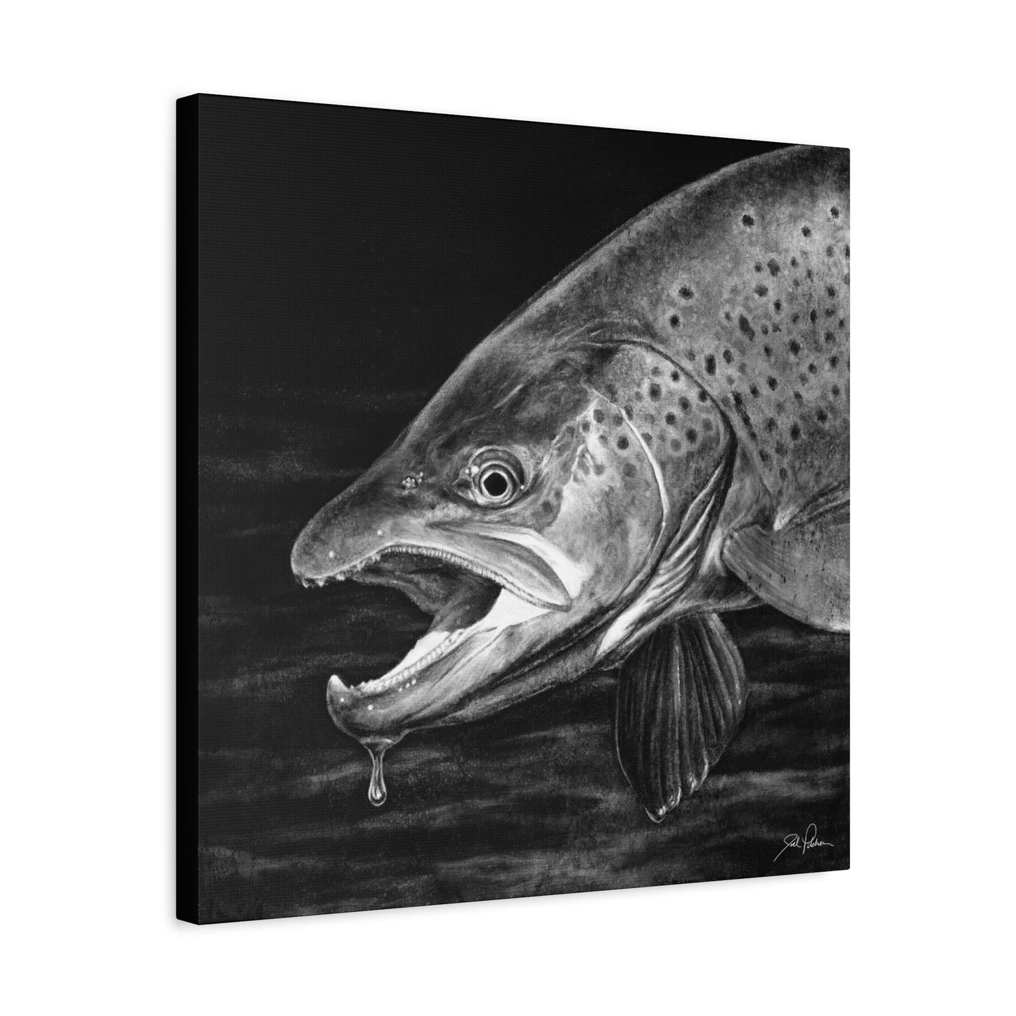 "Brown Trout" Stretched Canvas
