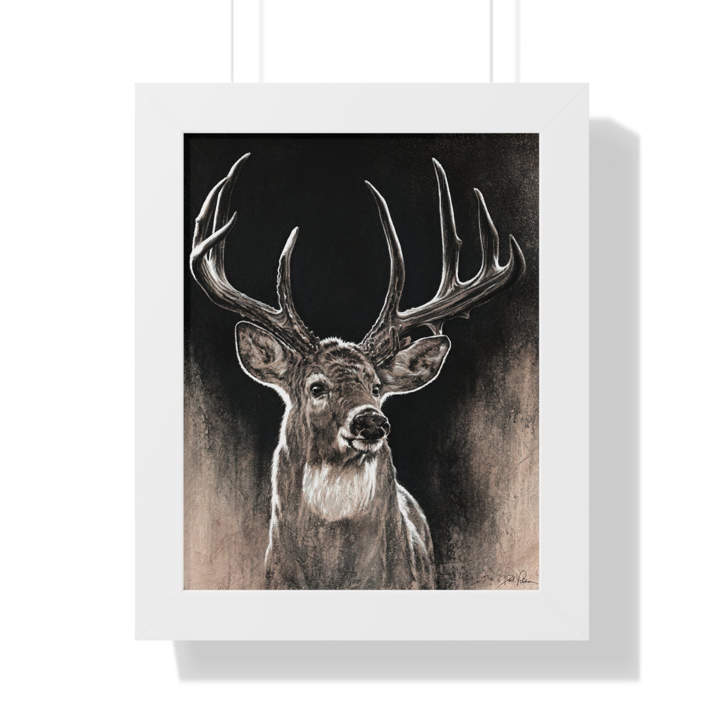 "Backlit Buck" Framed Paper Print