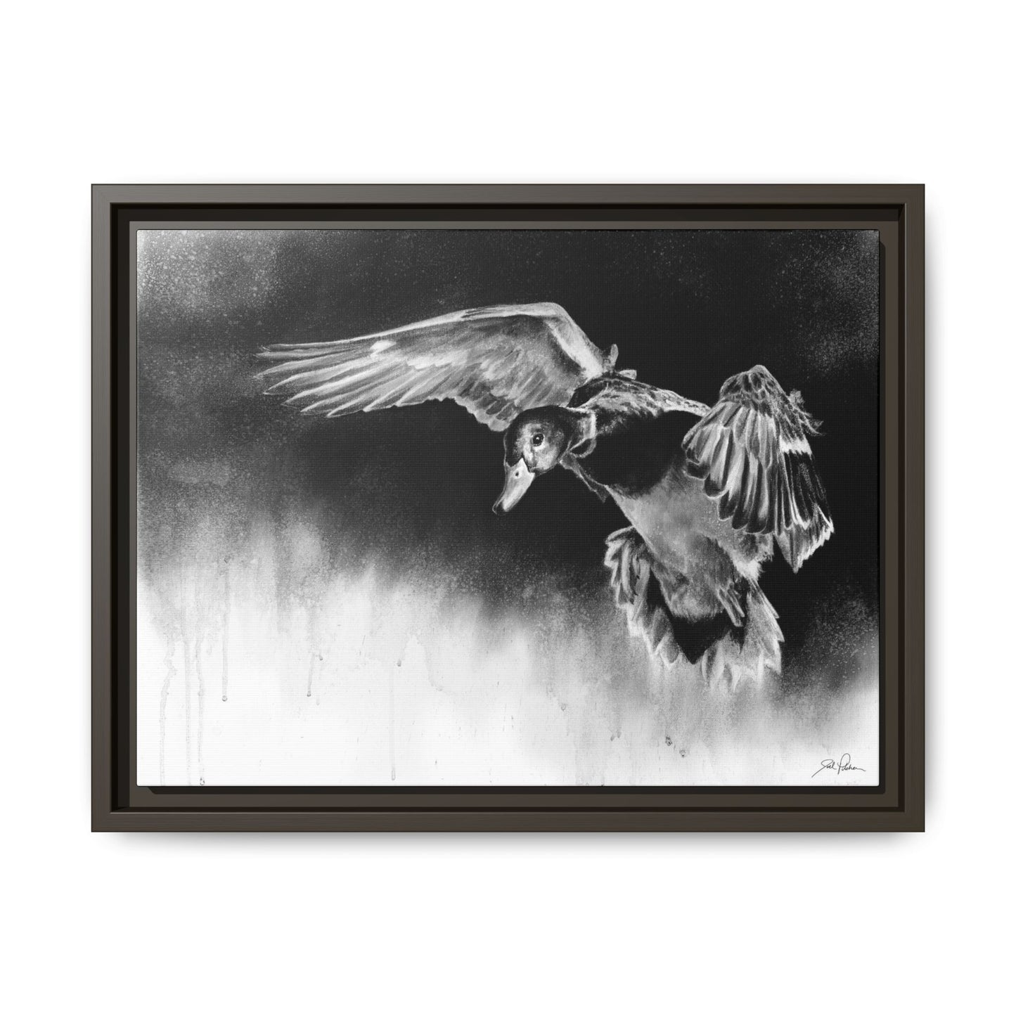 "Controlled Descent" Framed Canvas
