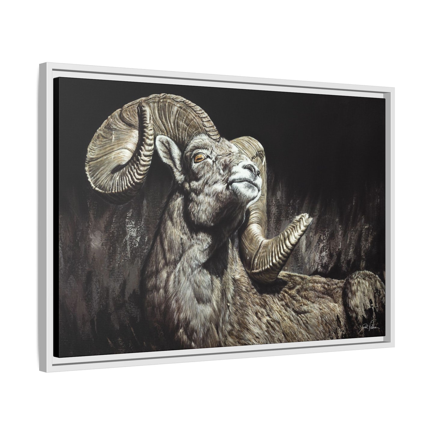 "Golden Eye" Framed Canvas