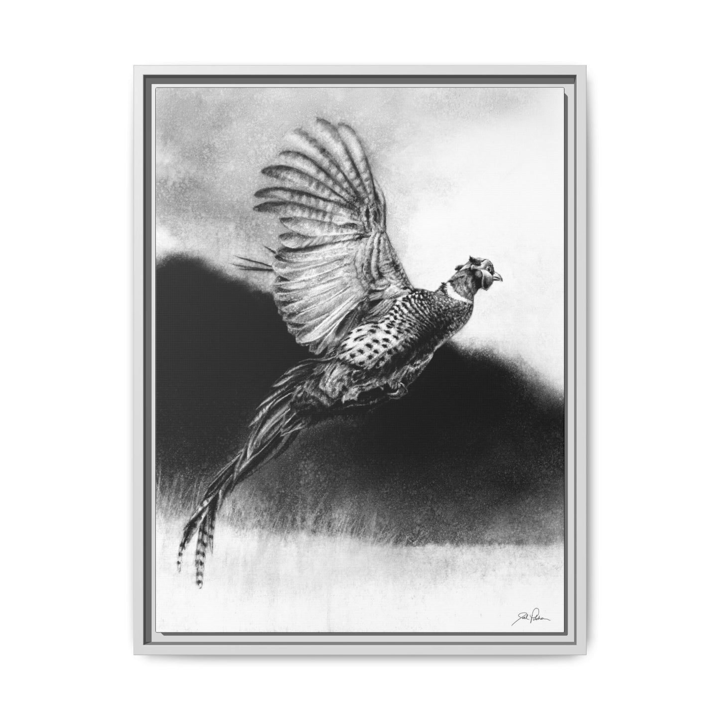 "Flushed" Framed Canvas