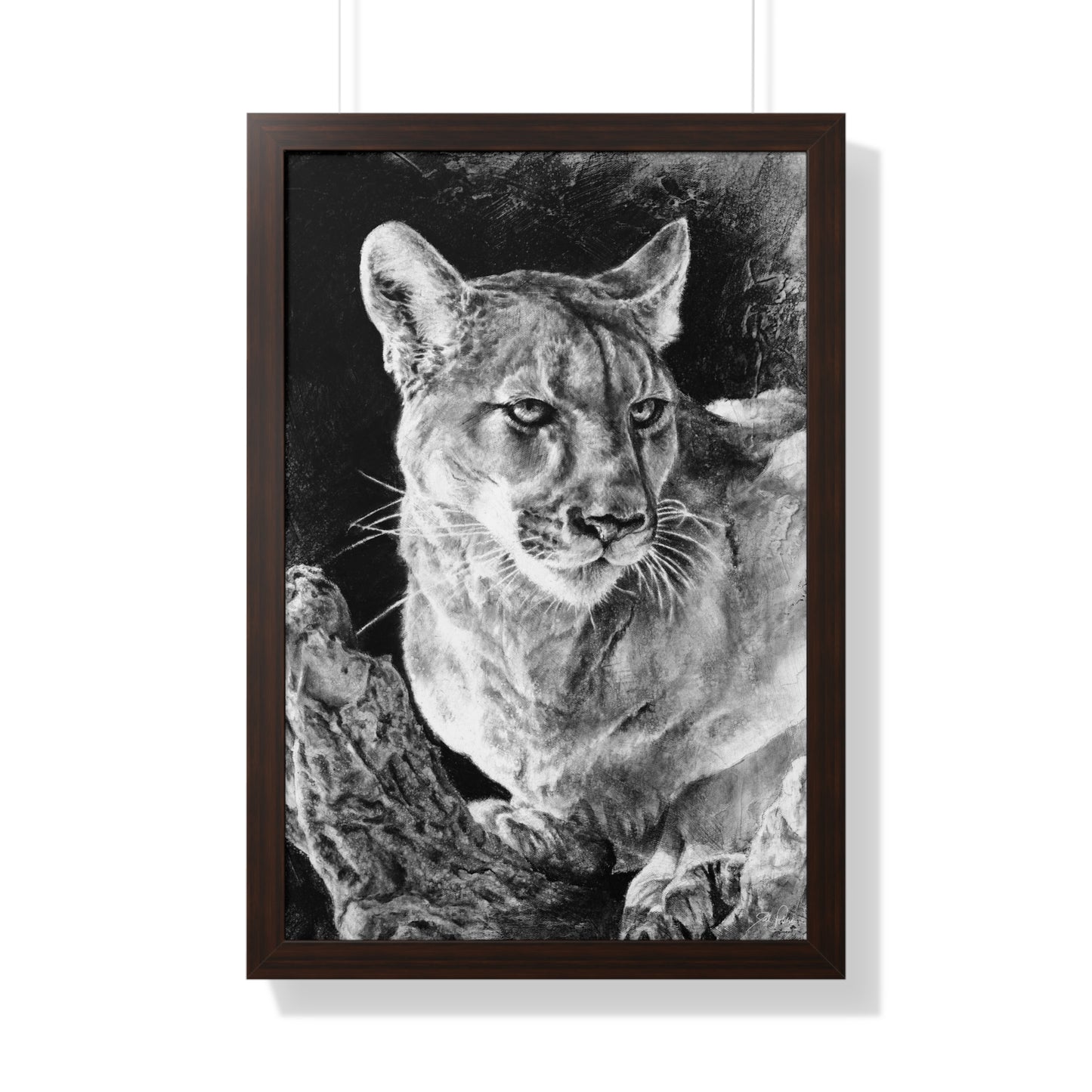 "Mountain Lion" Framed Paper Print