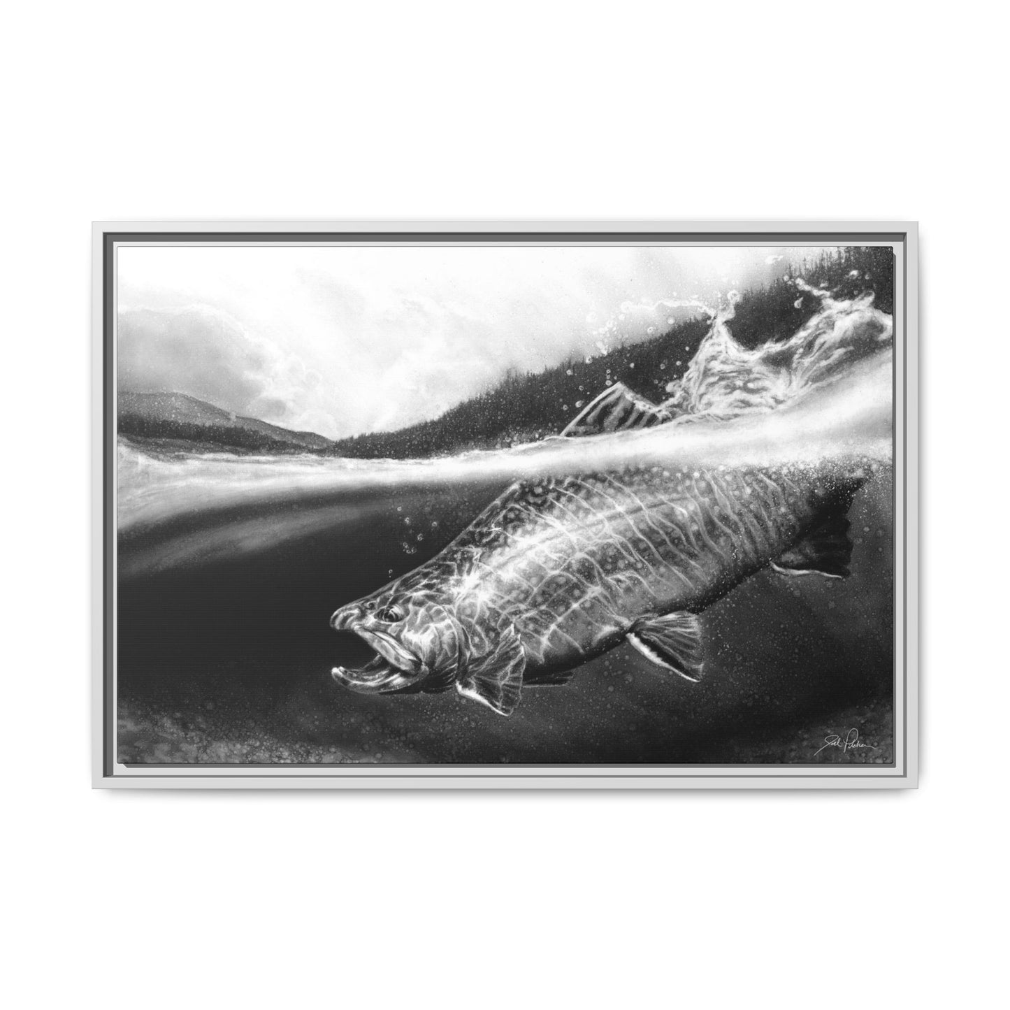 "Brook Trout" Framed Canvas