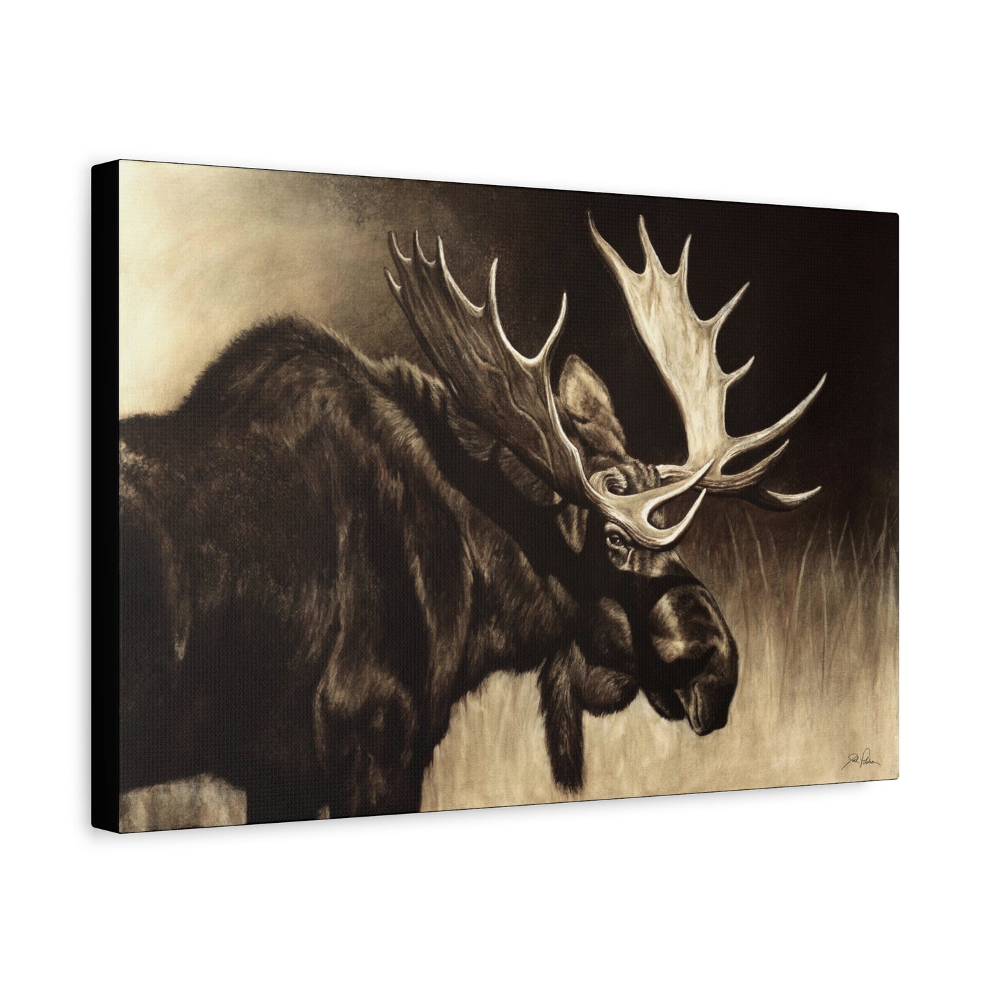 "Mighty Moose" Stretched Canvas