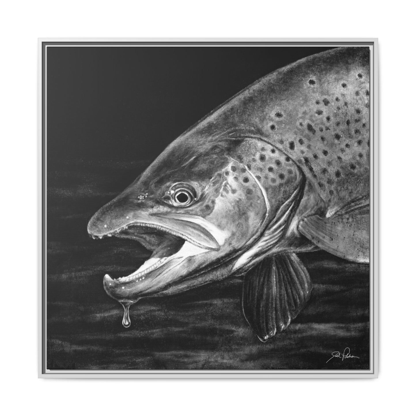 "Brown Trout" Framed Canvas