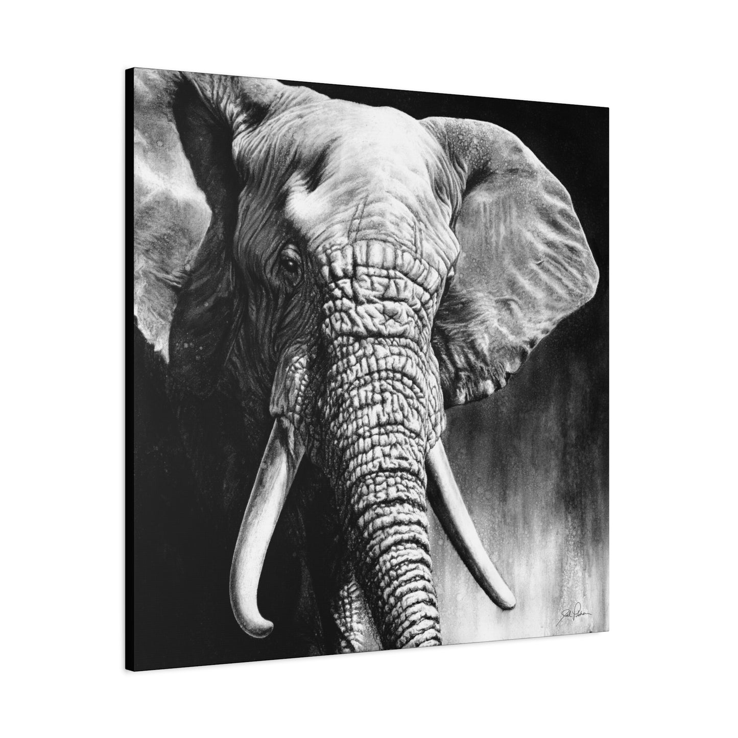 "High & Mighty" Stretched Canvas