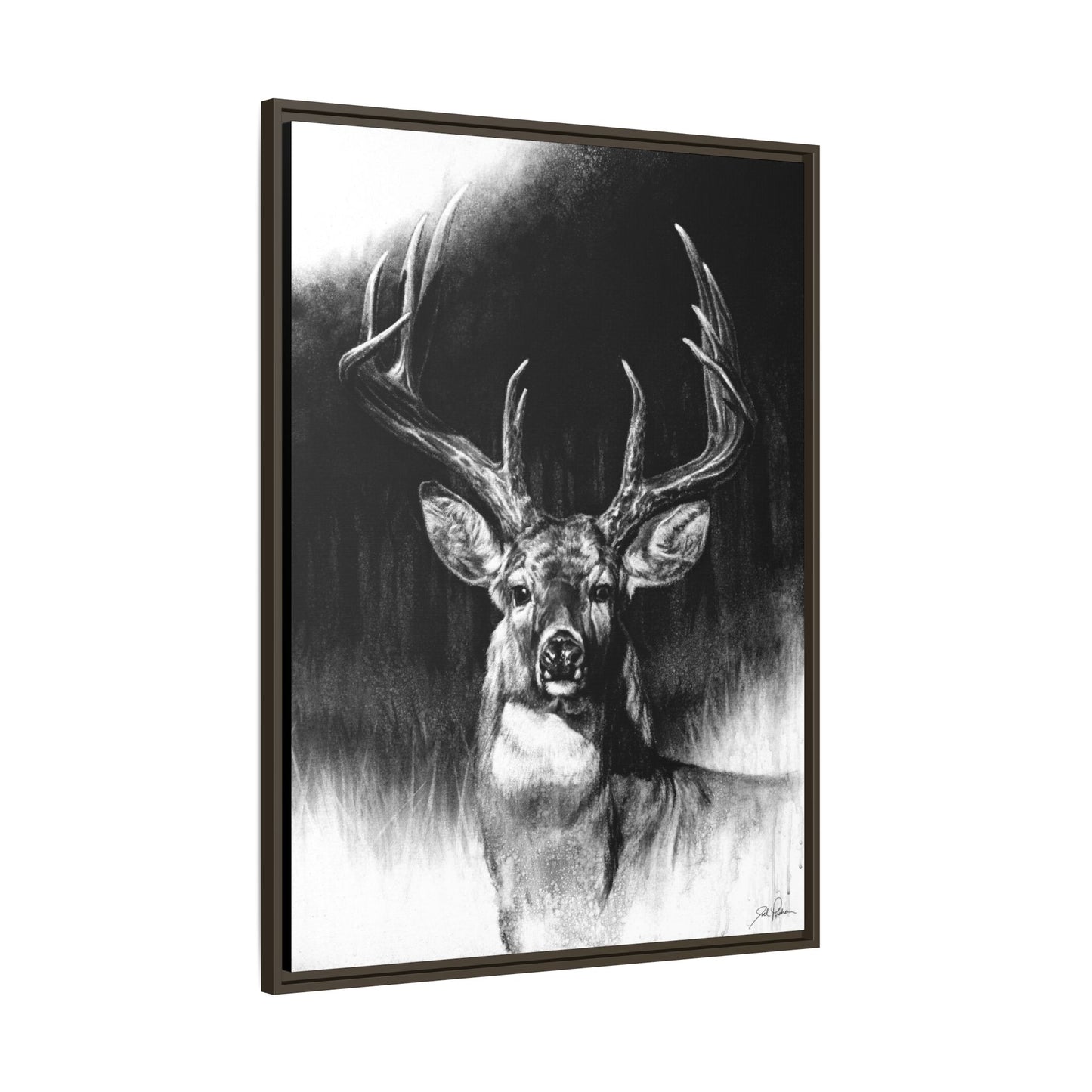 "Whitetail" Framed Canvas
