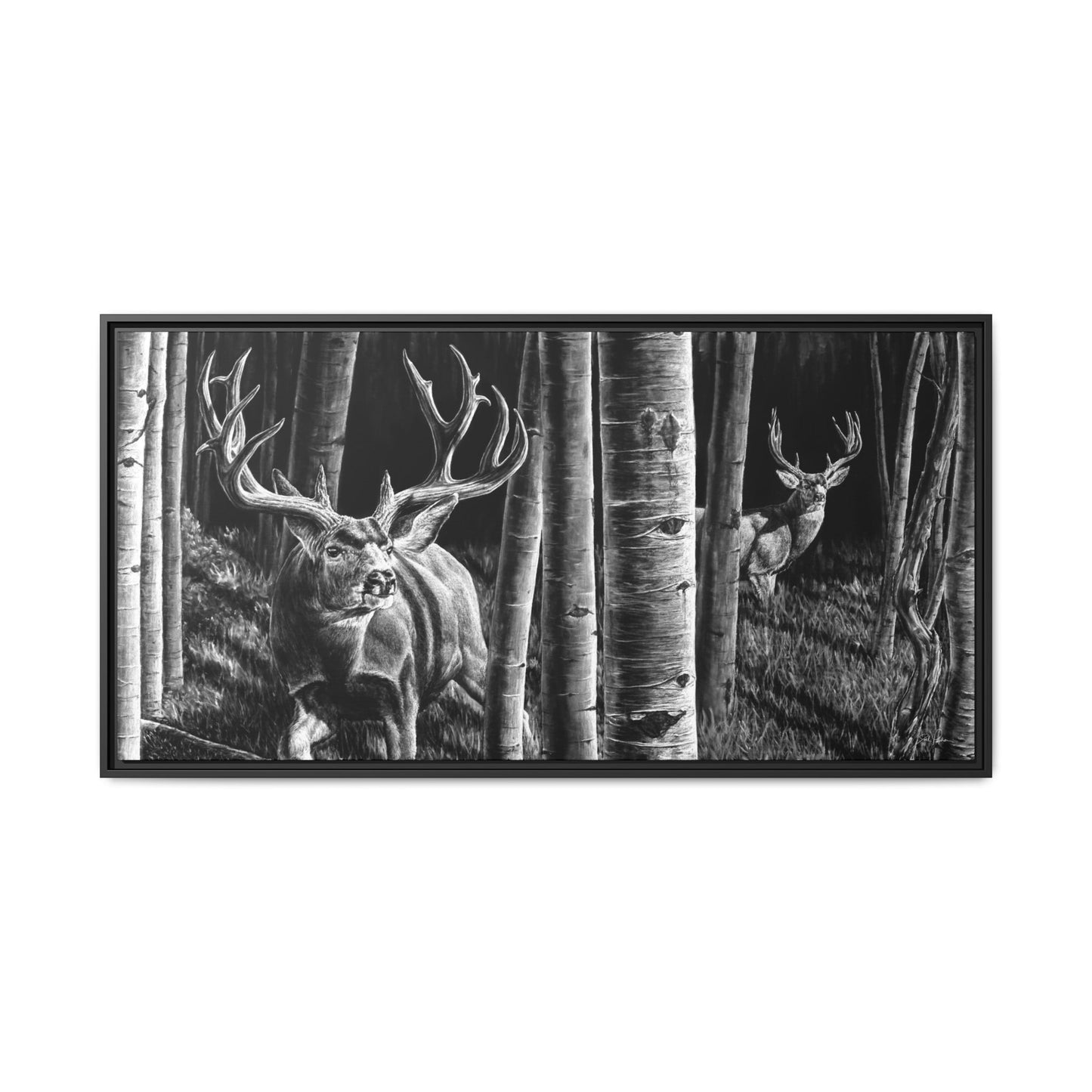 "Out of the Shadows" Framed Canvas