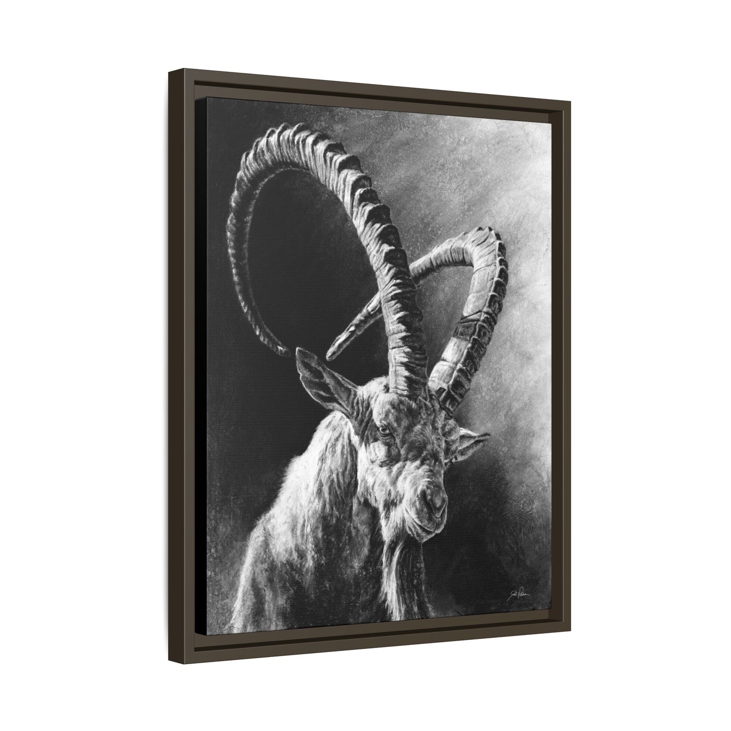 "Ibex" Framed Canvas