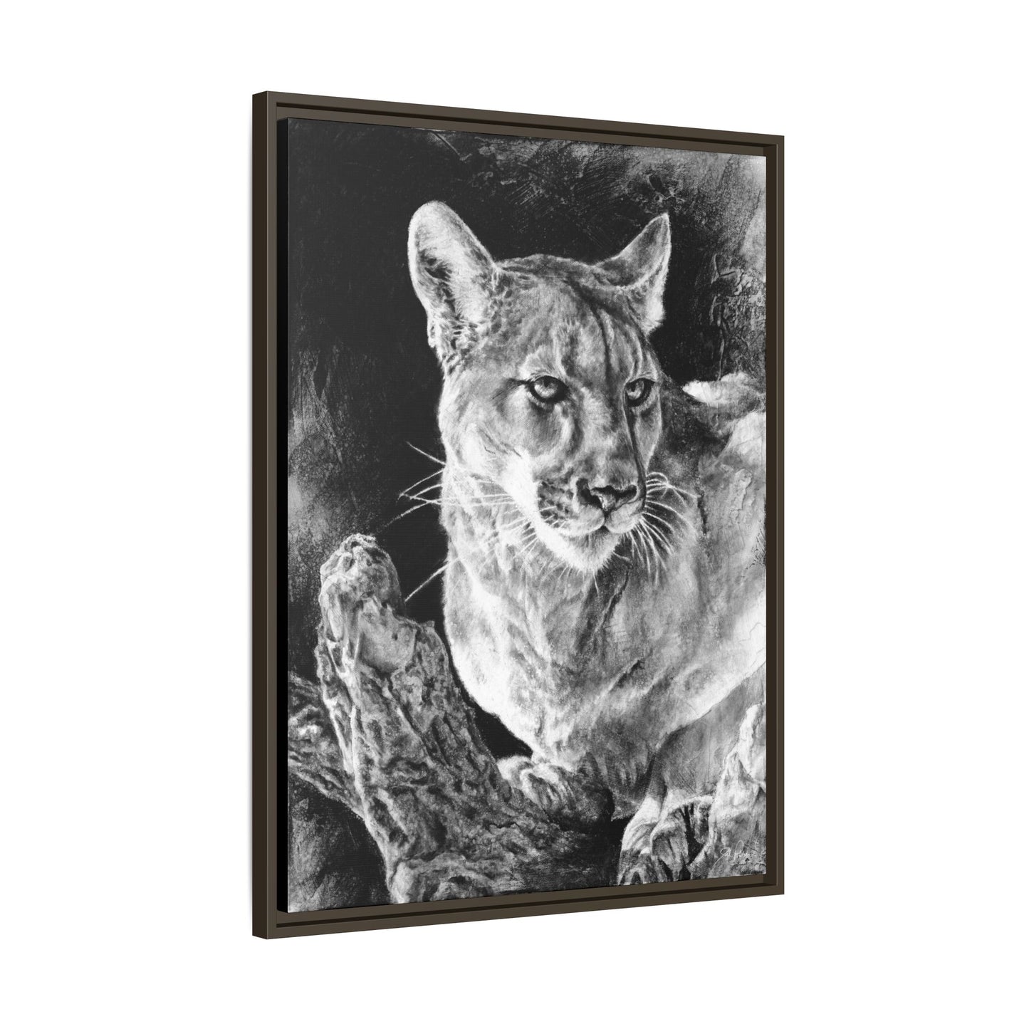 "Mountain Lion" Framed Canvas
