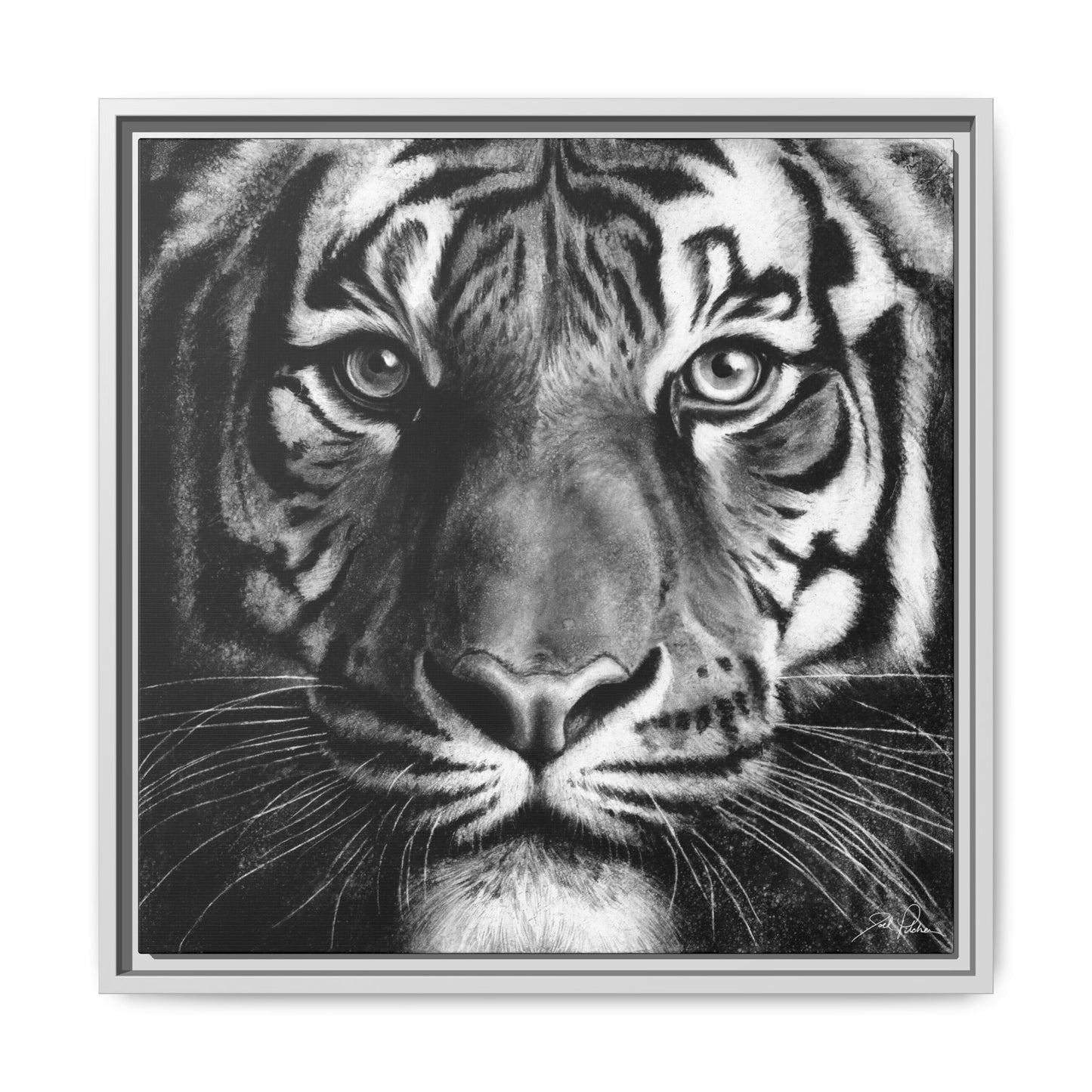 "Tiger" Framed Canvas