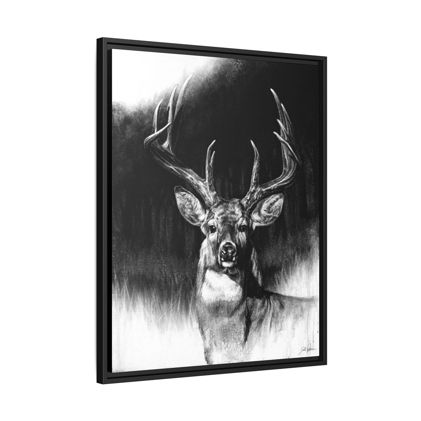 "Whitetail" Framed Canvas