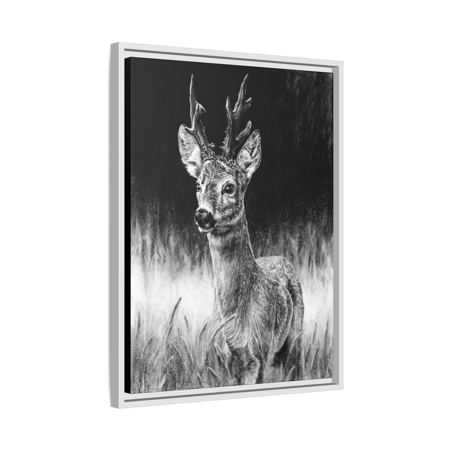 "Roe Deer" Framed Canvas