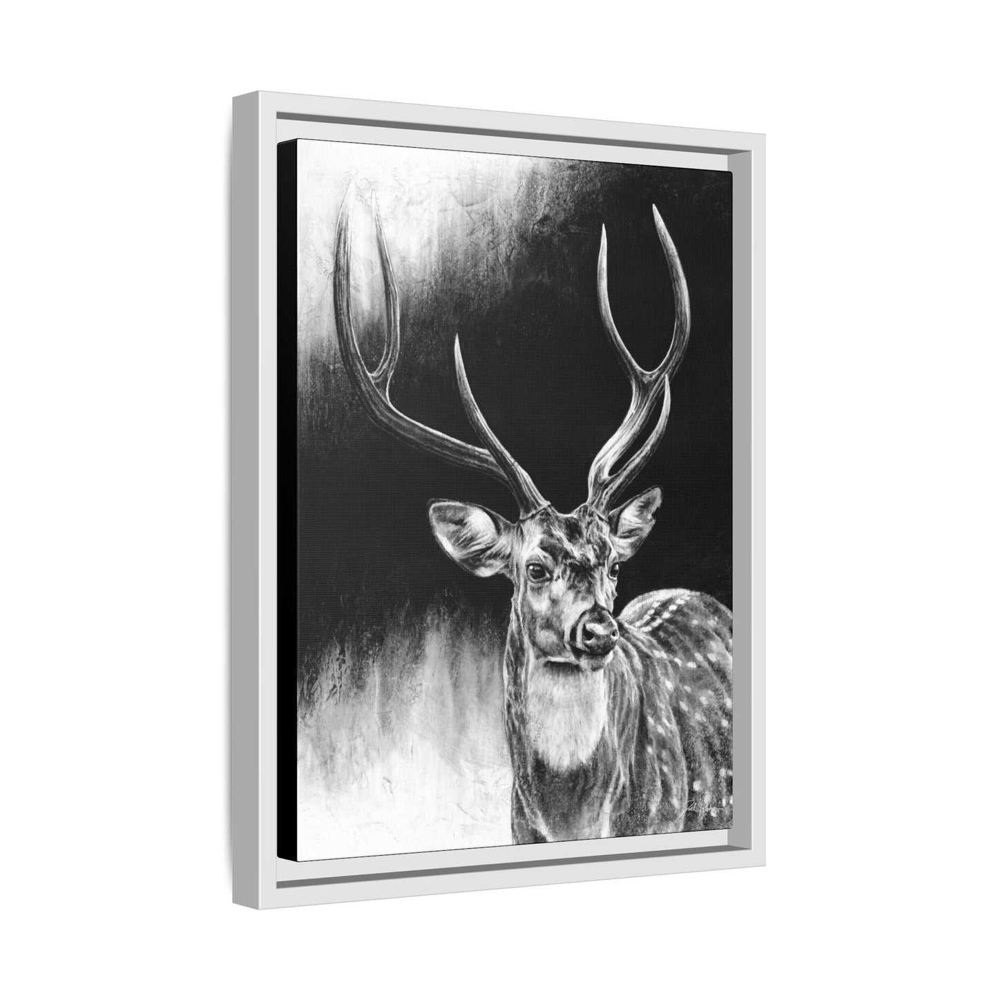 "Axis Buck" Framed Canvas