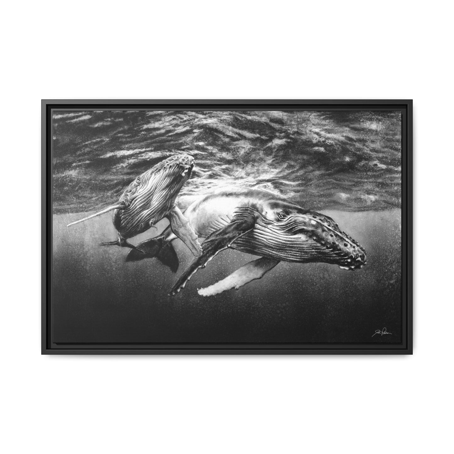 "Humpback Whales" Framed Canvas