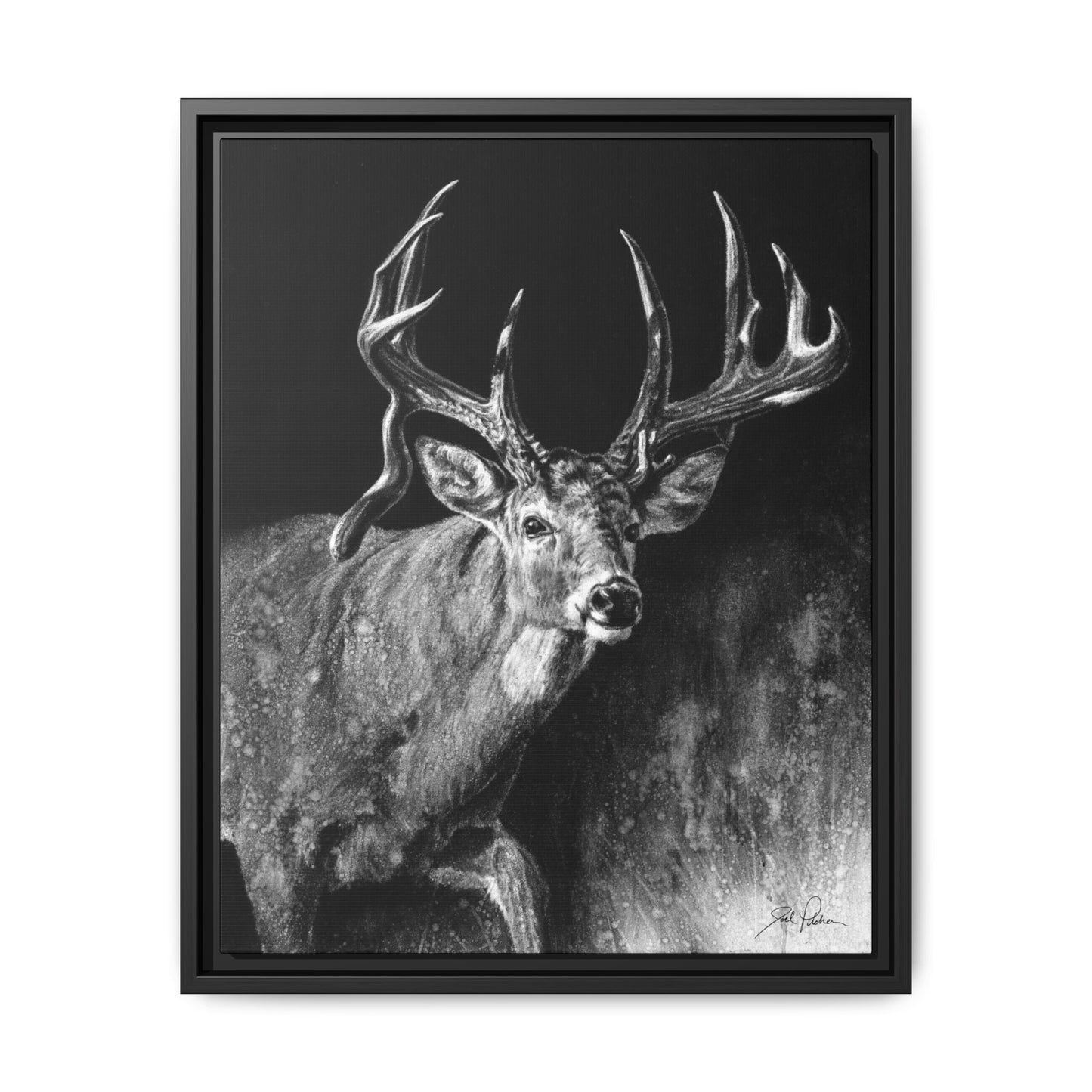 "Jaw Dropper" Framed Canvas