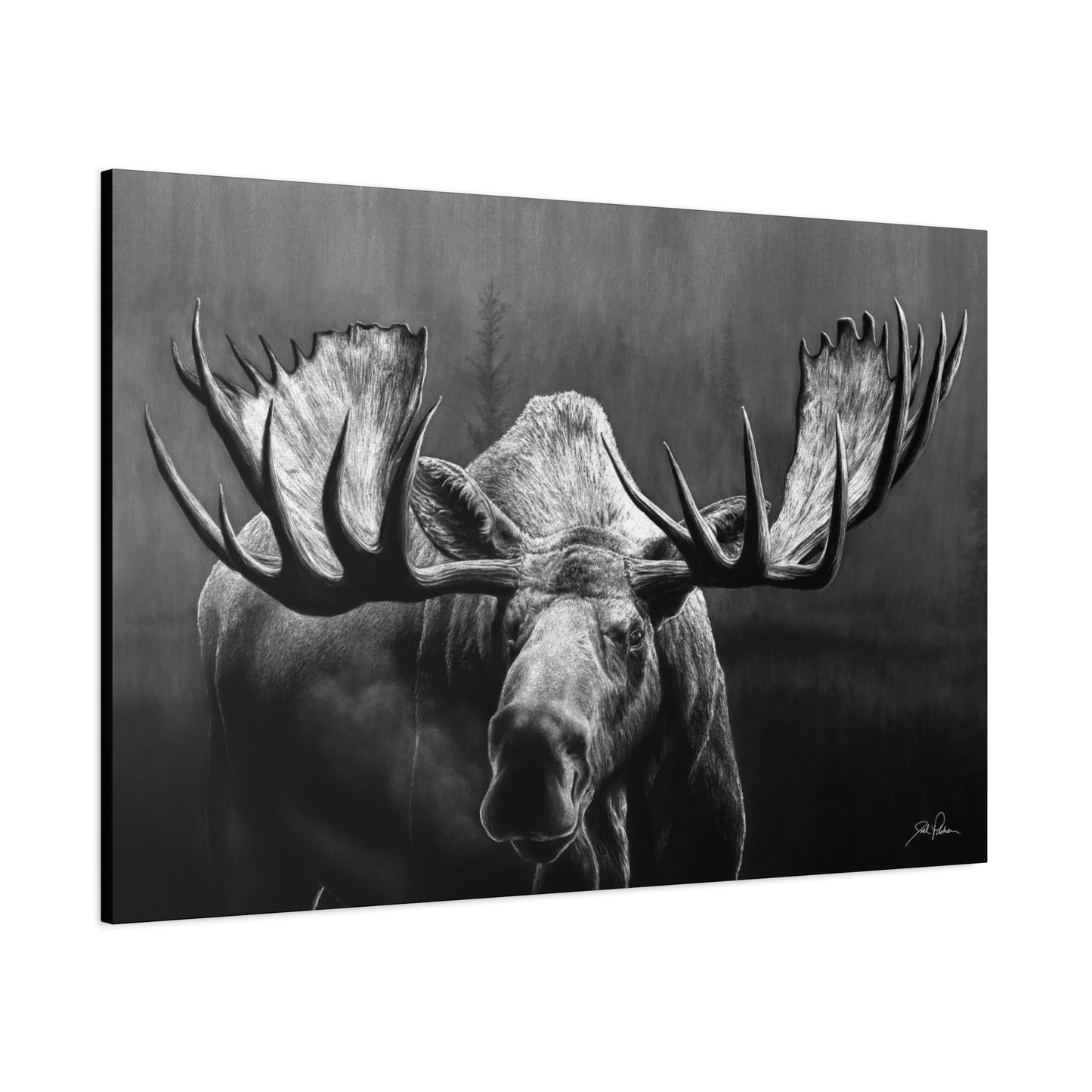 "Wide Load" Stretched Canvas