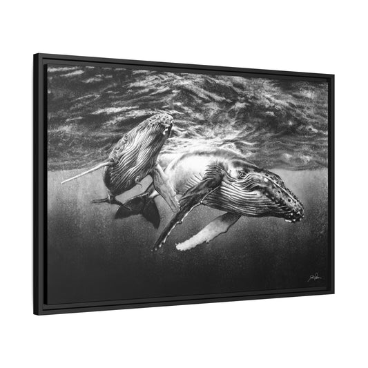 "Humpback Whales" Framed Canvas