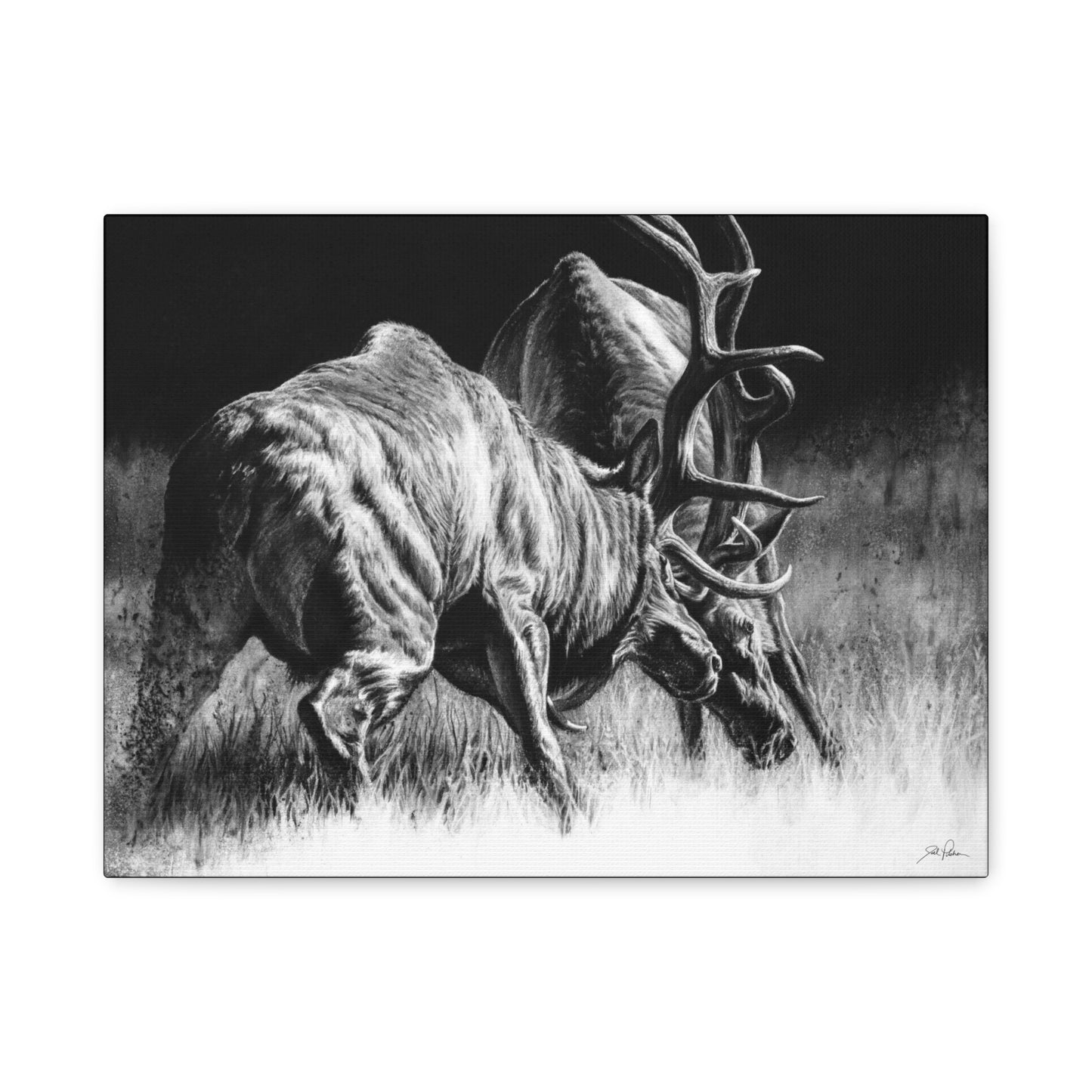 "Winner Takes All" Stretched Canvas