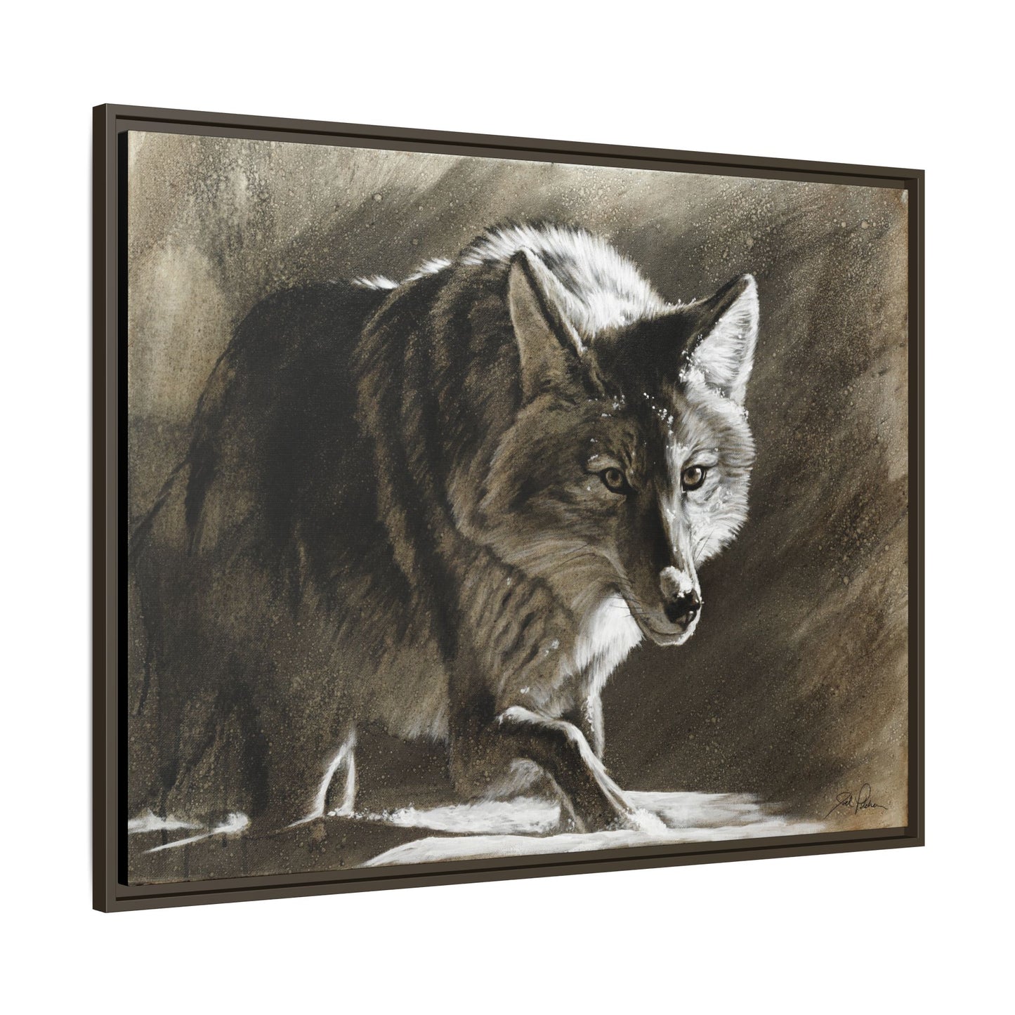 "Coyote" Framed Canvas