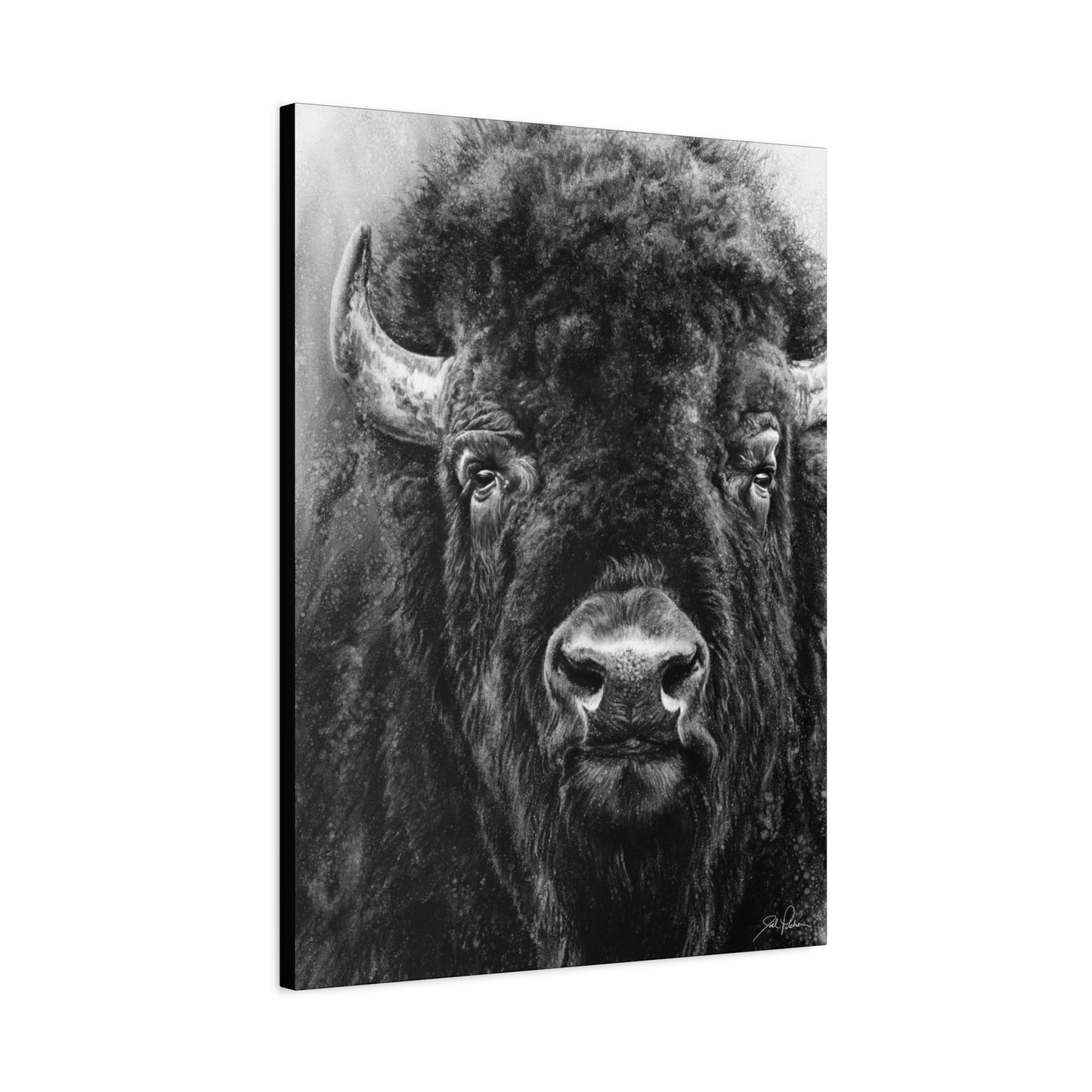 "Tatanka" Stretched Canvas