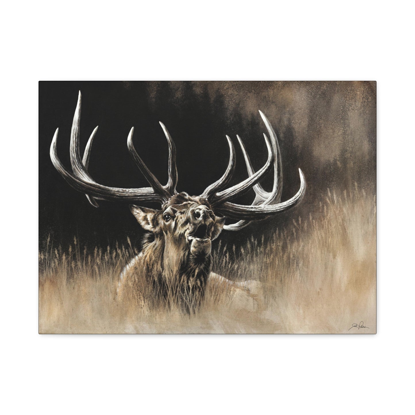 "Wake Up Call" Stretched Canvas