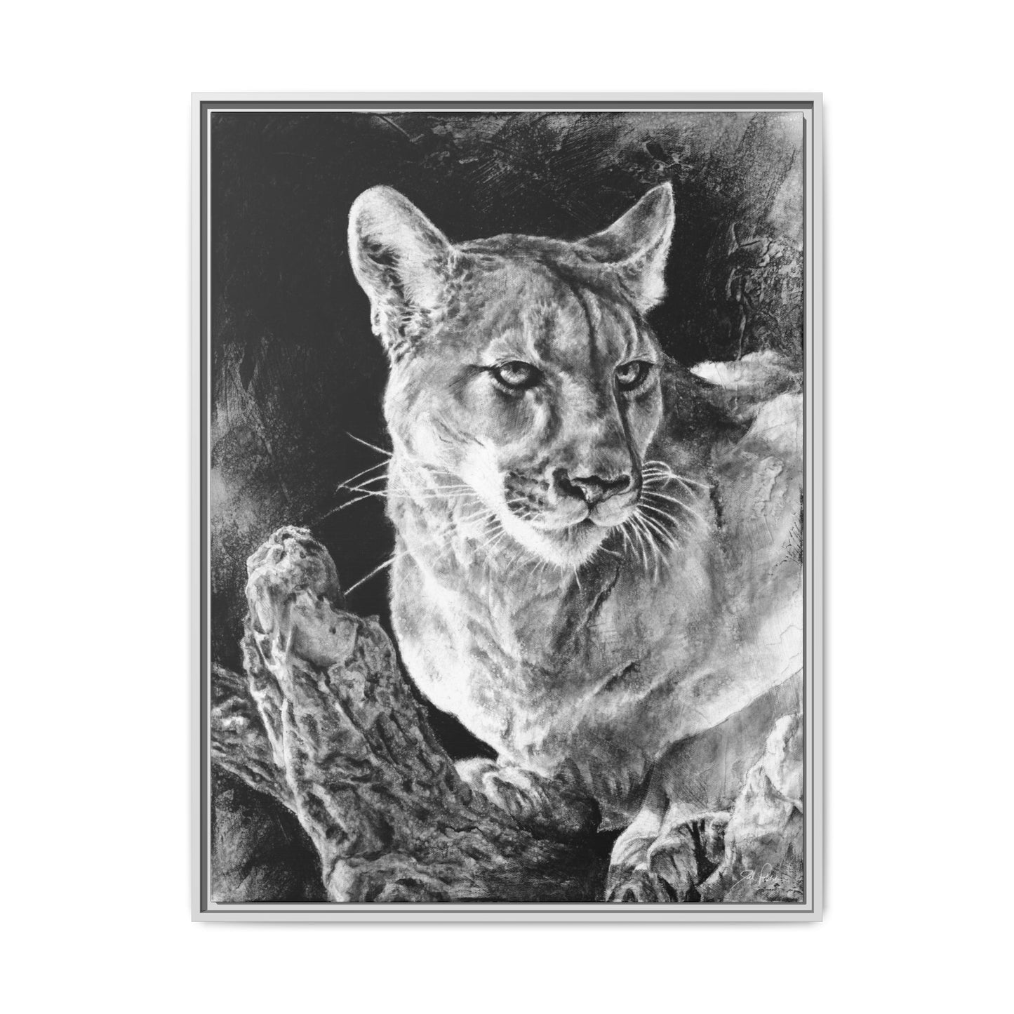 "Mountain Lion" Framed Canvas