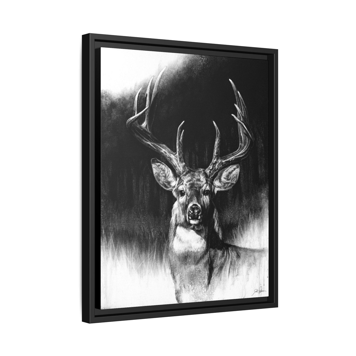 "Whitetail" Framed Canvas