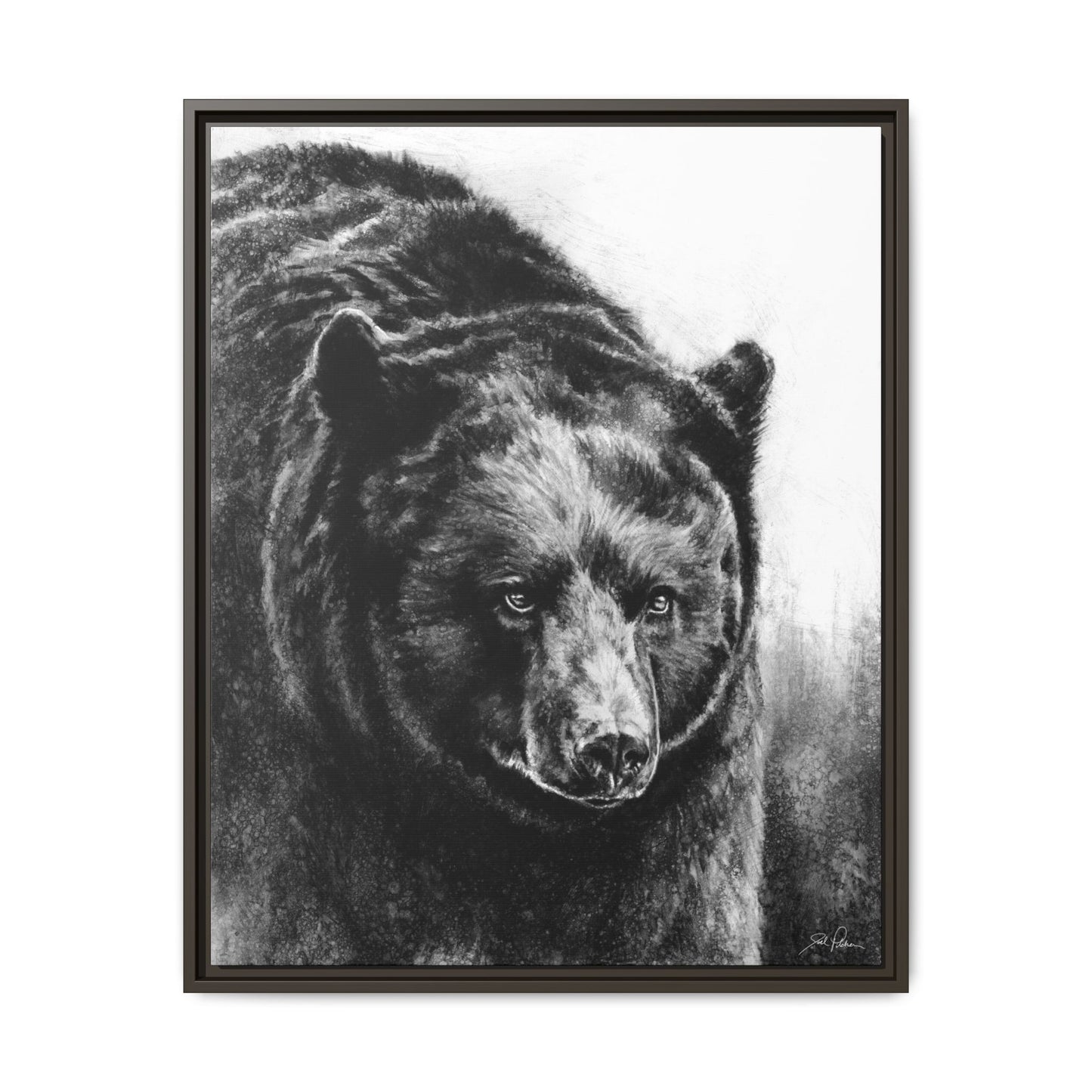 "Black Bear" Framed Canvas