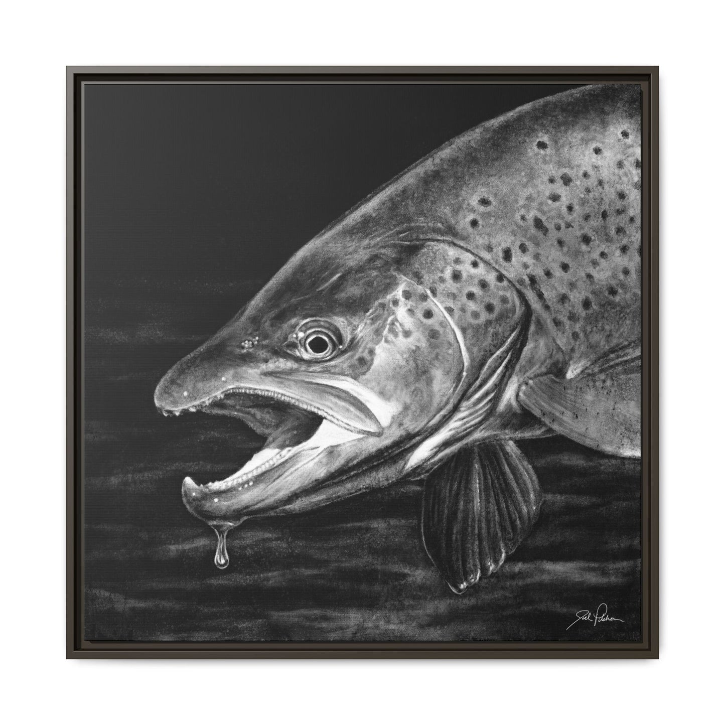 "Brown Trout" Framed Canvas