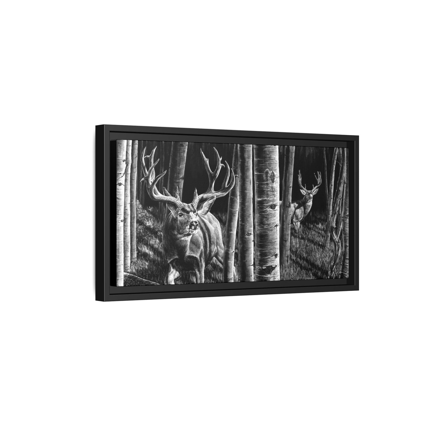 "Out of the Shadows" Framed Canvas