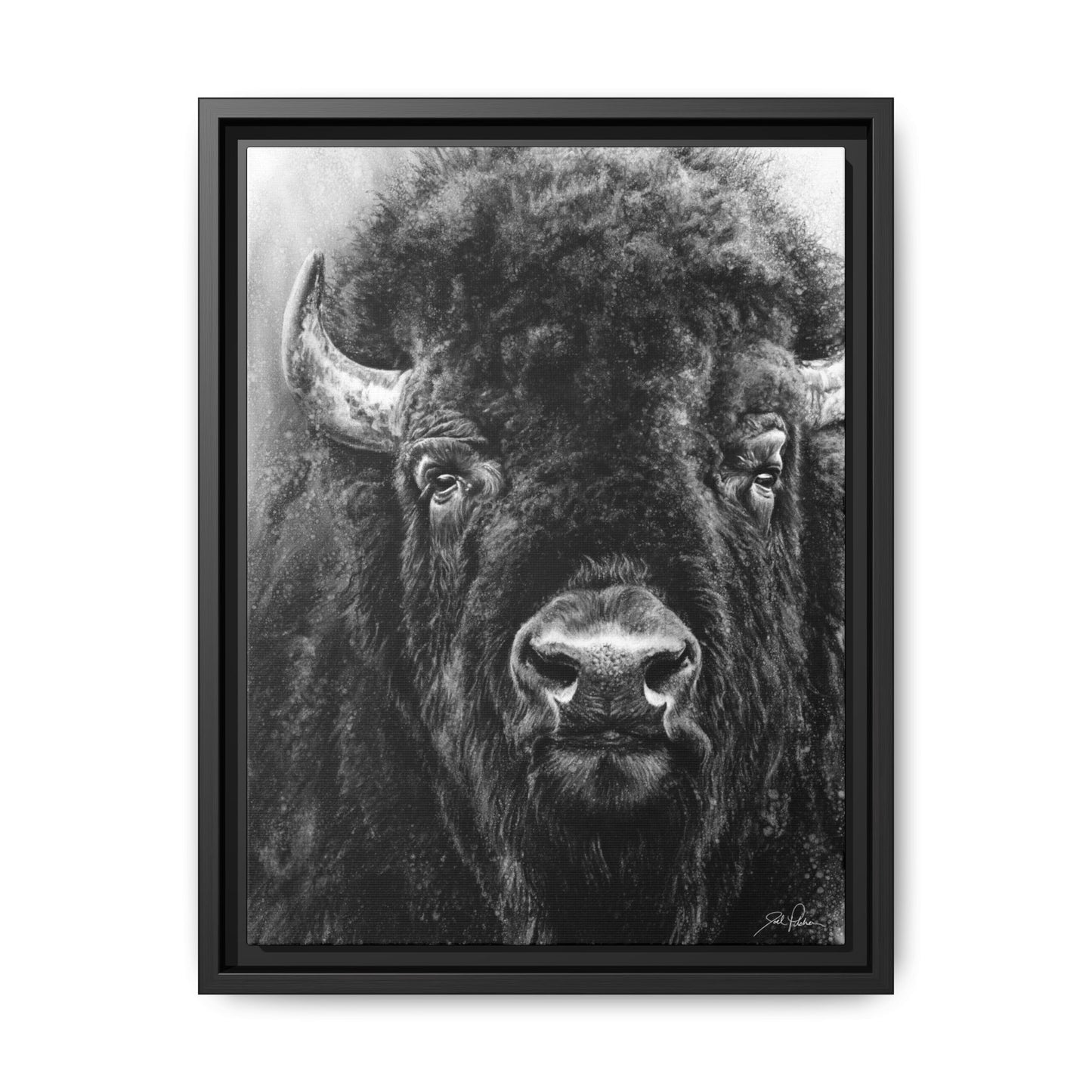 "Tatanka" Framed Canvas