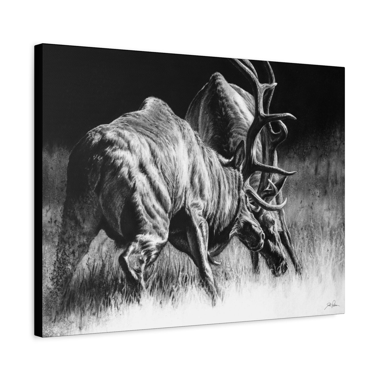 "Winner Takes All" Stretched Canvas