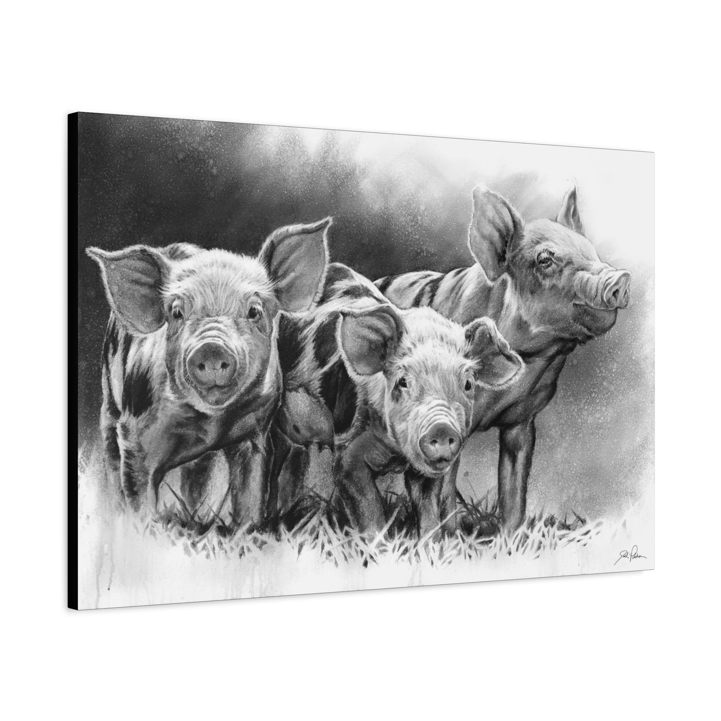 "Pig Tales" Stretched Canvas