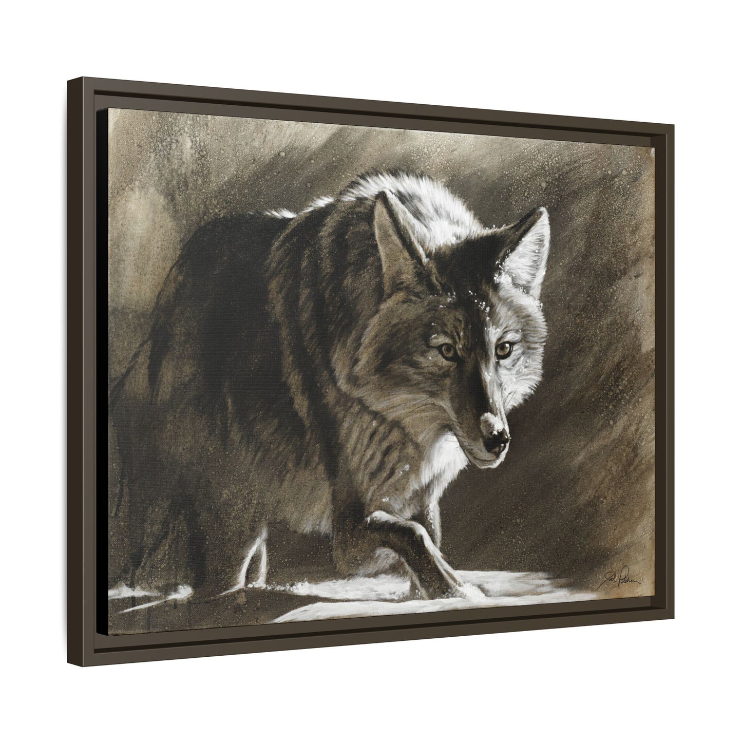 "Coyote" Framed Canvas