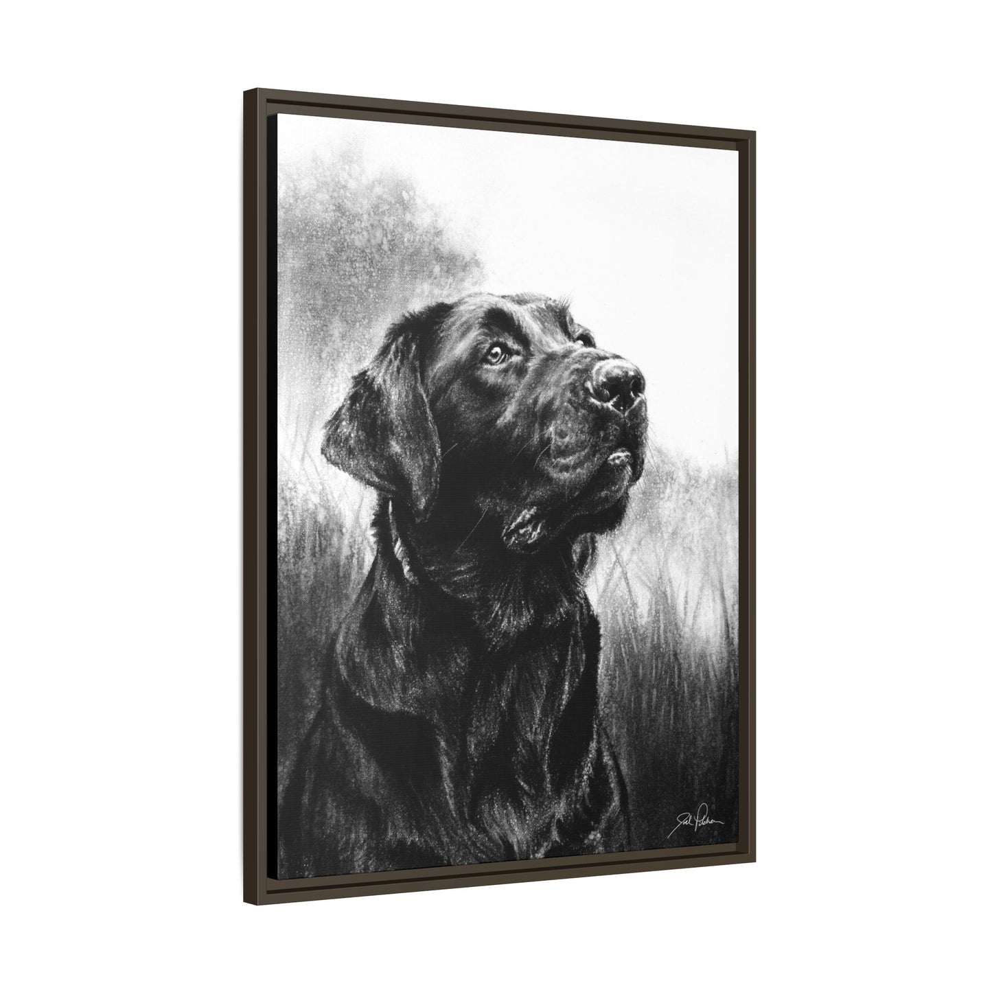 "Labrador Retriever" Framed Canvas
