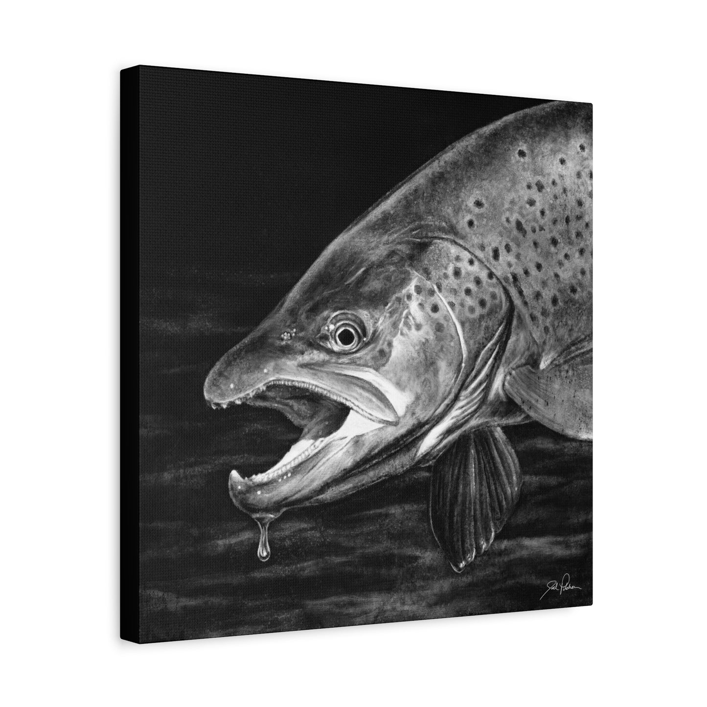 "Brown Trout" Stretched Canvas