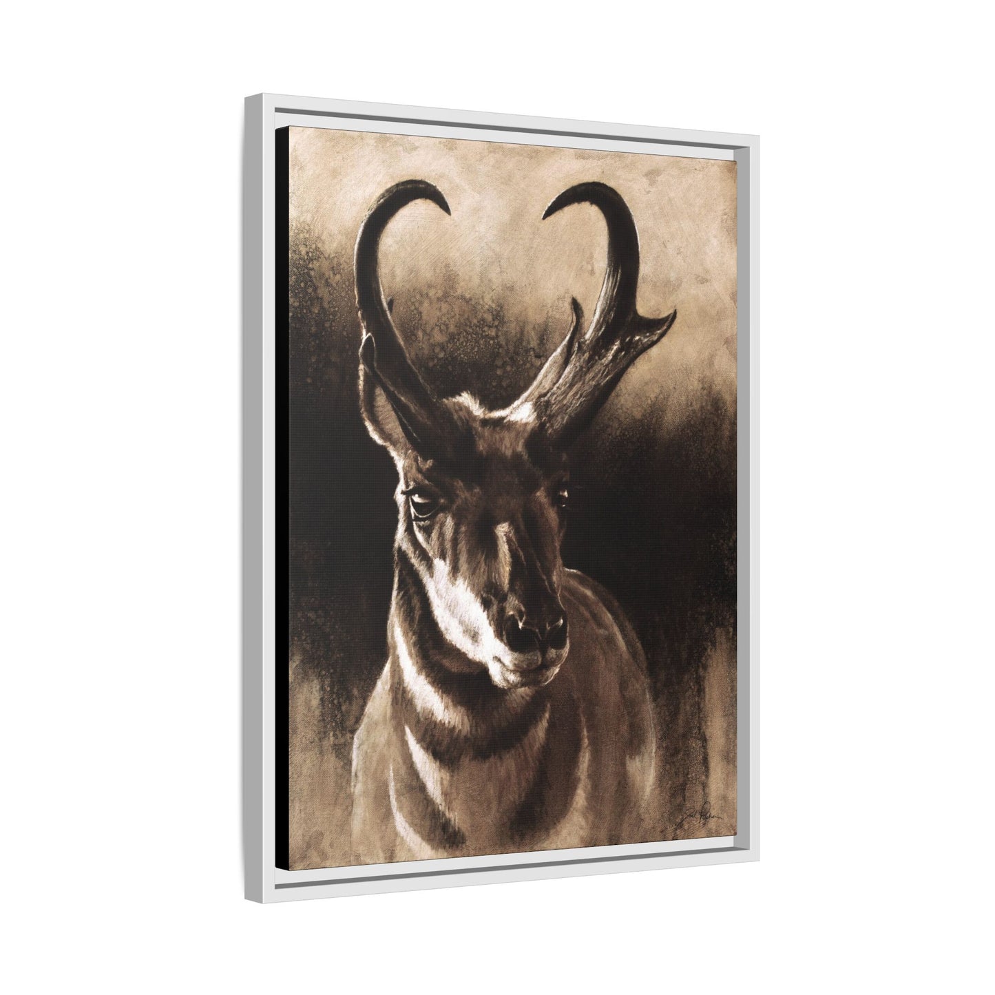 "Pronghorn" Framed Canvas