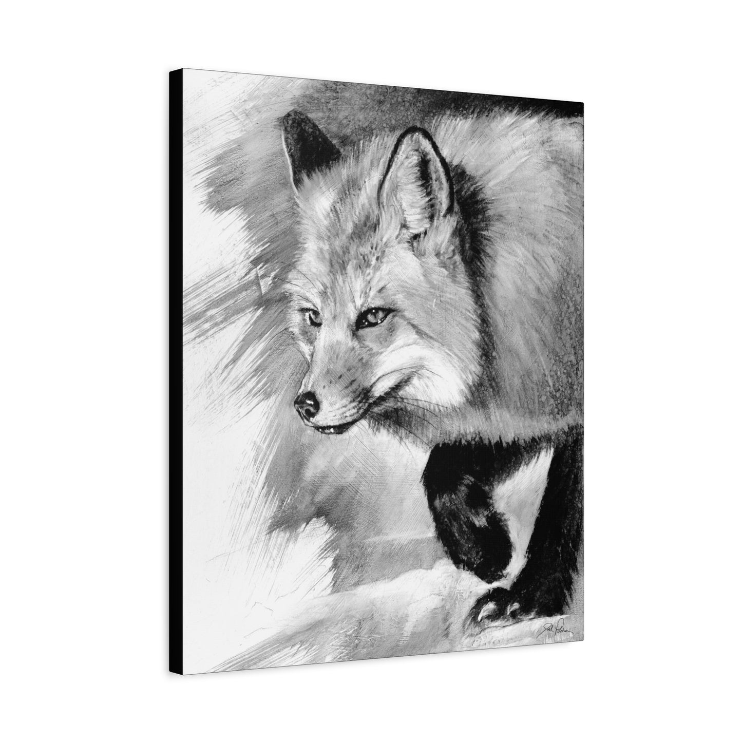 "Fox" Stretched Canvas