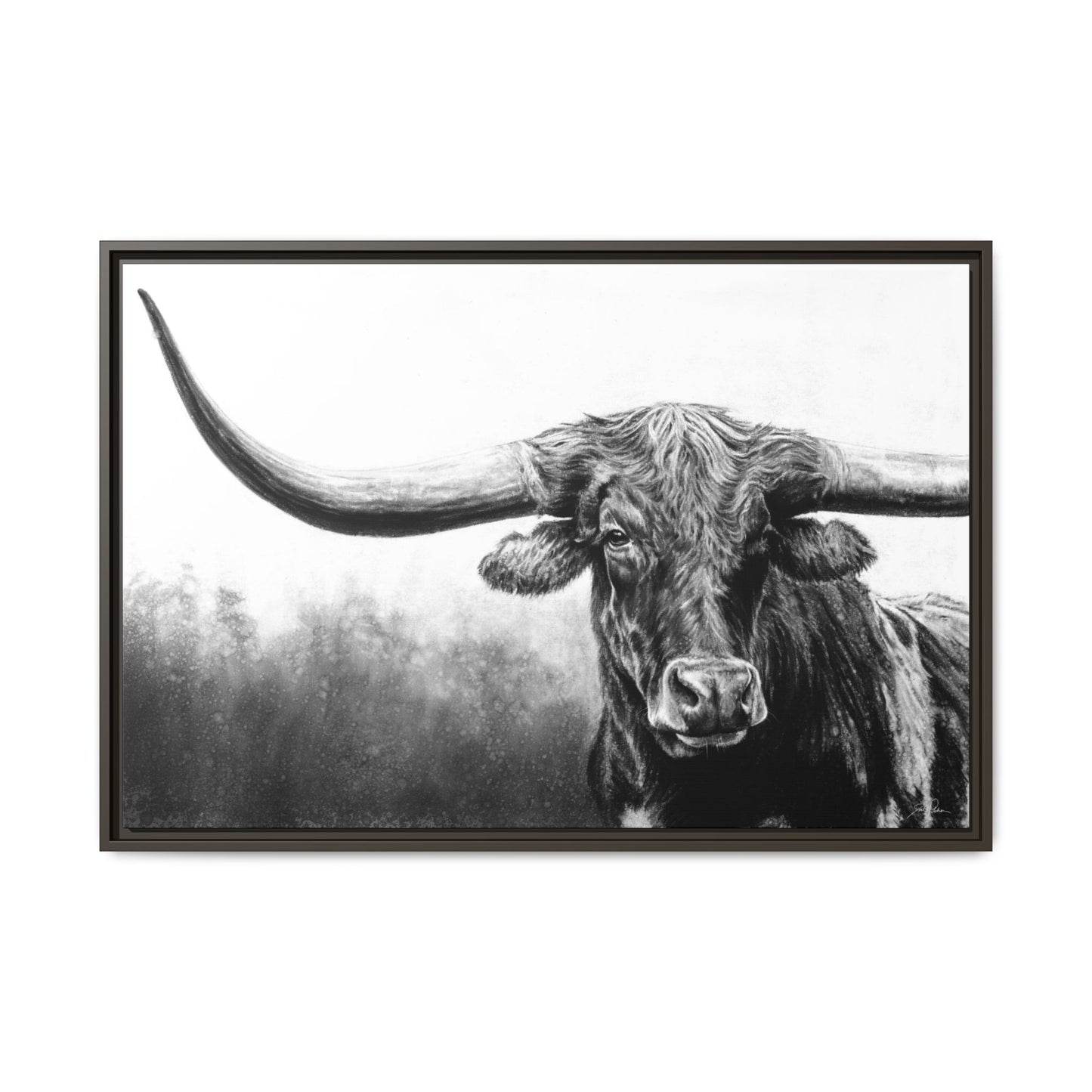 "Longhorn" Framed Canvas