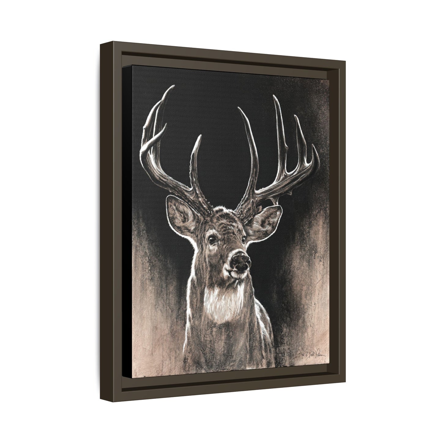 "Backlit Buck" Framed Canvas