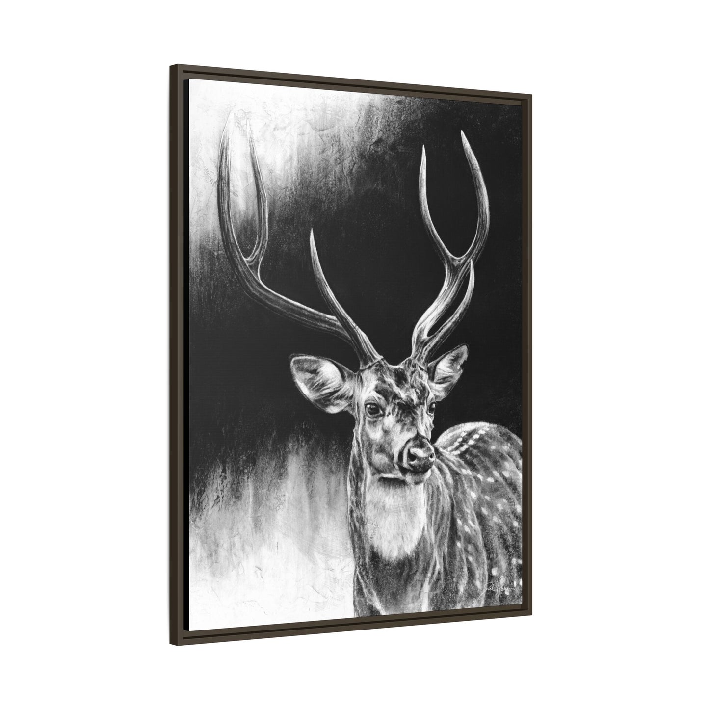 "Axis Buck" Framed Canvas