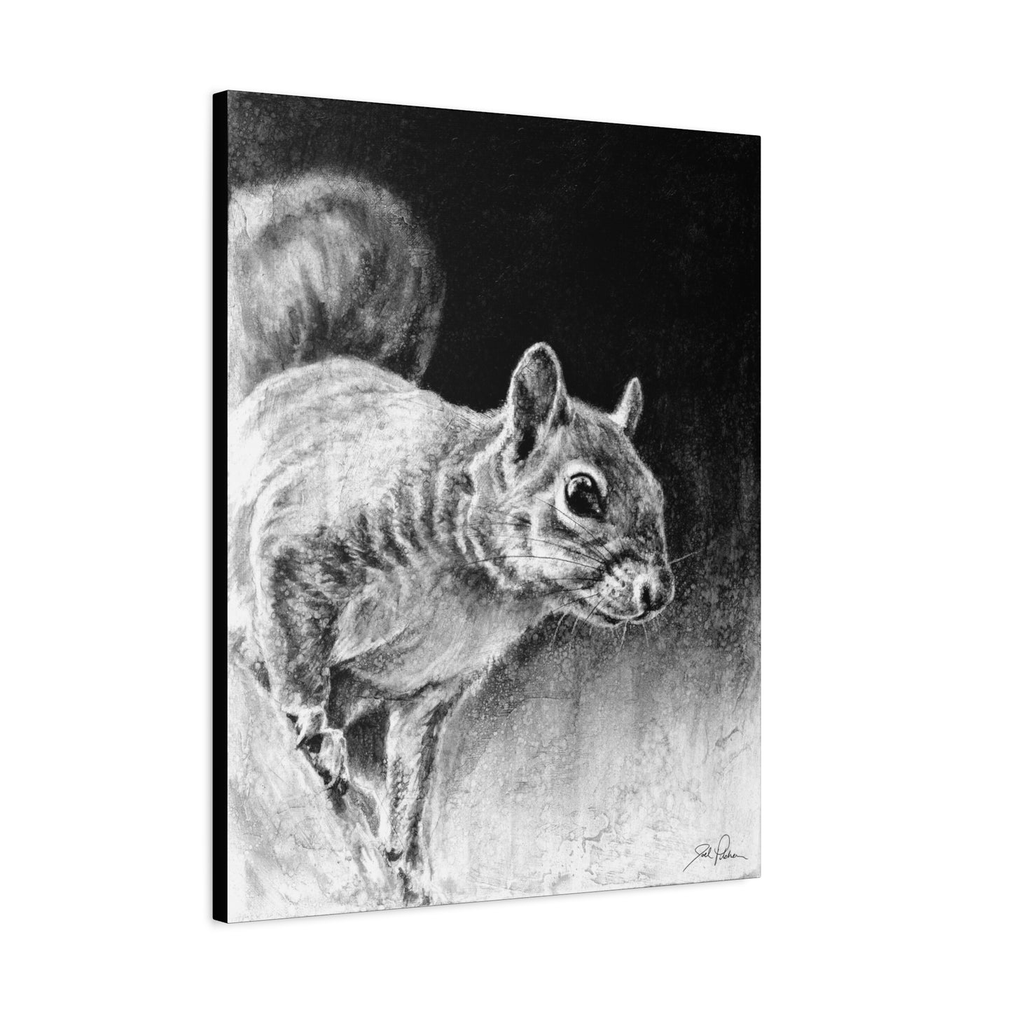 "Squirrel" Stretched Canvas