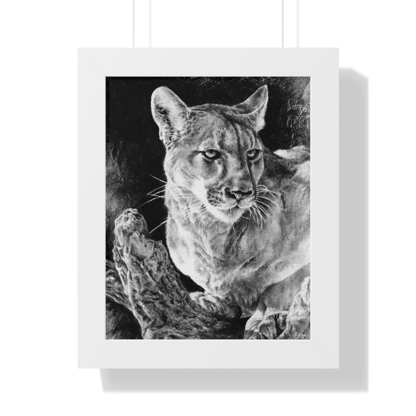 "Mountain Lion" Framed Paper Print