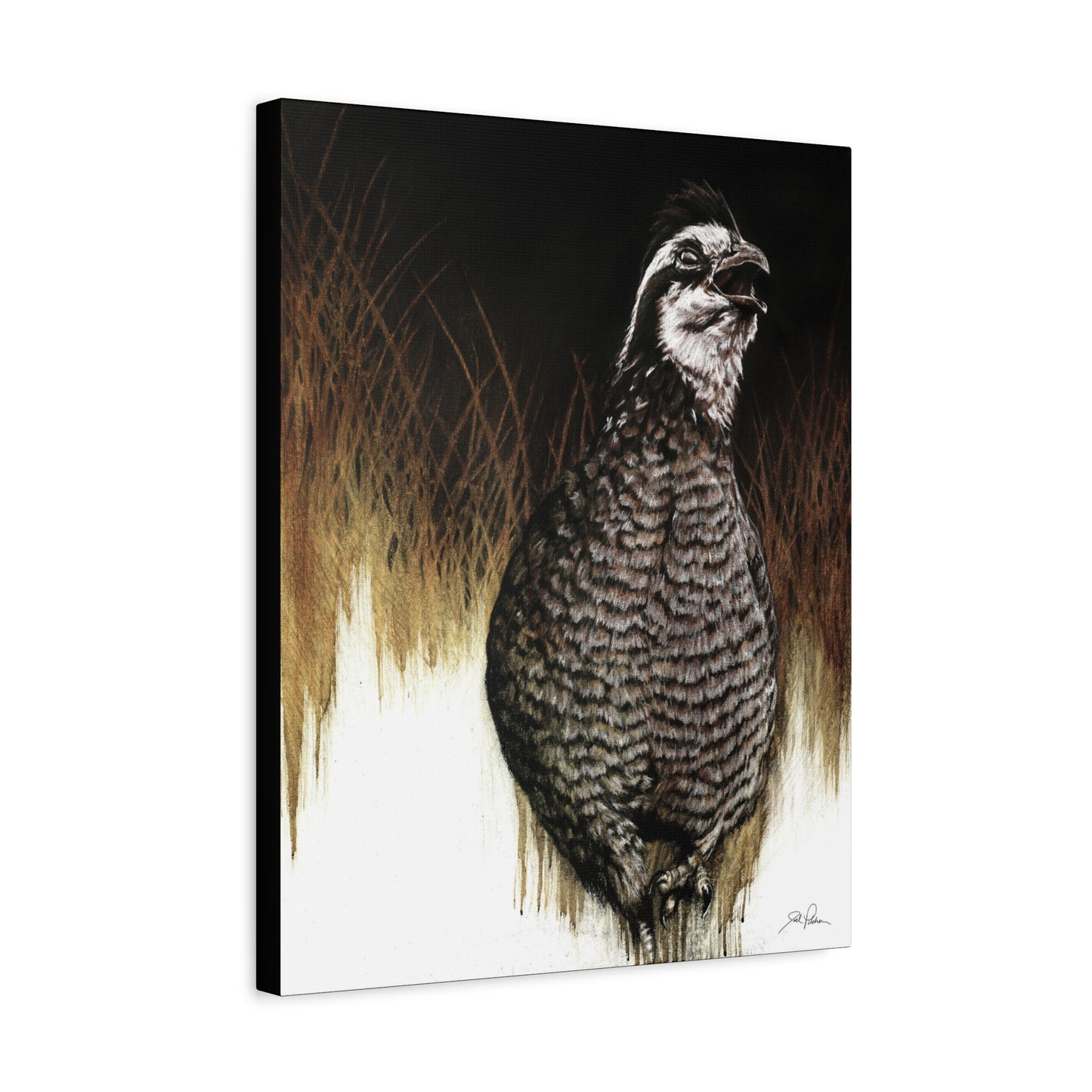 "Call of the Upland Quail" Stretched Canvas