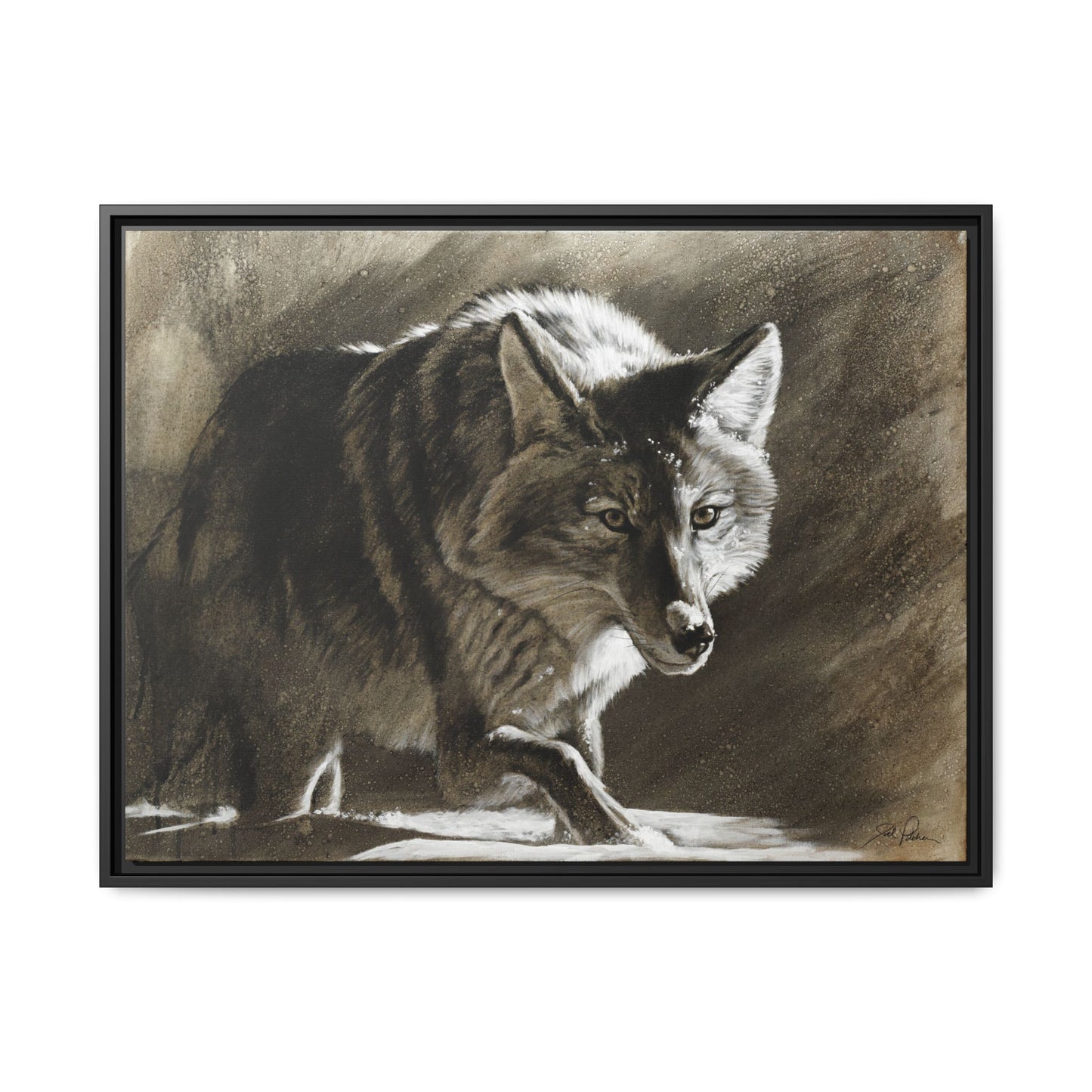 "Coyote" Framed Canvas