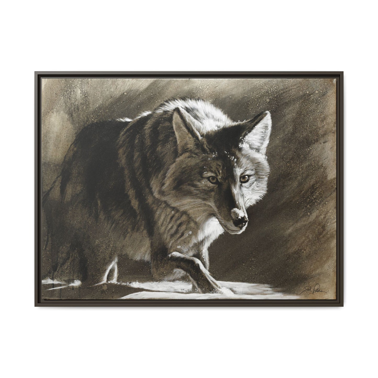 "Coyote" Framed Canvas